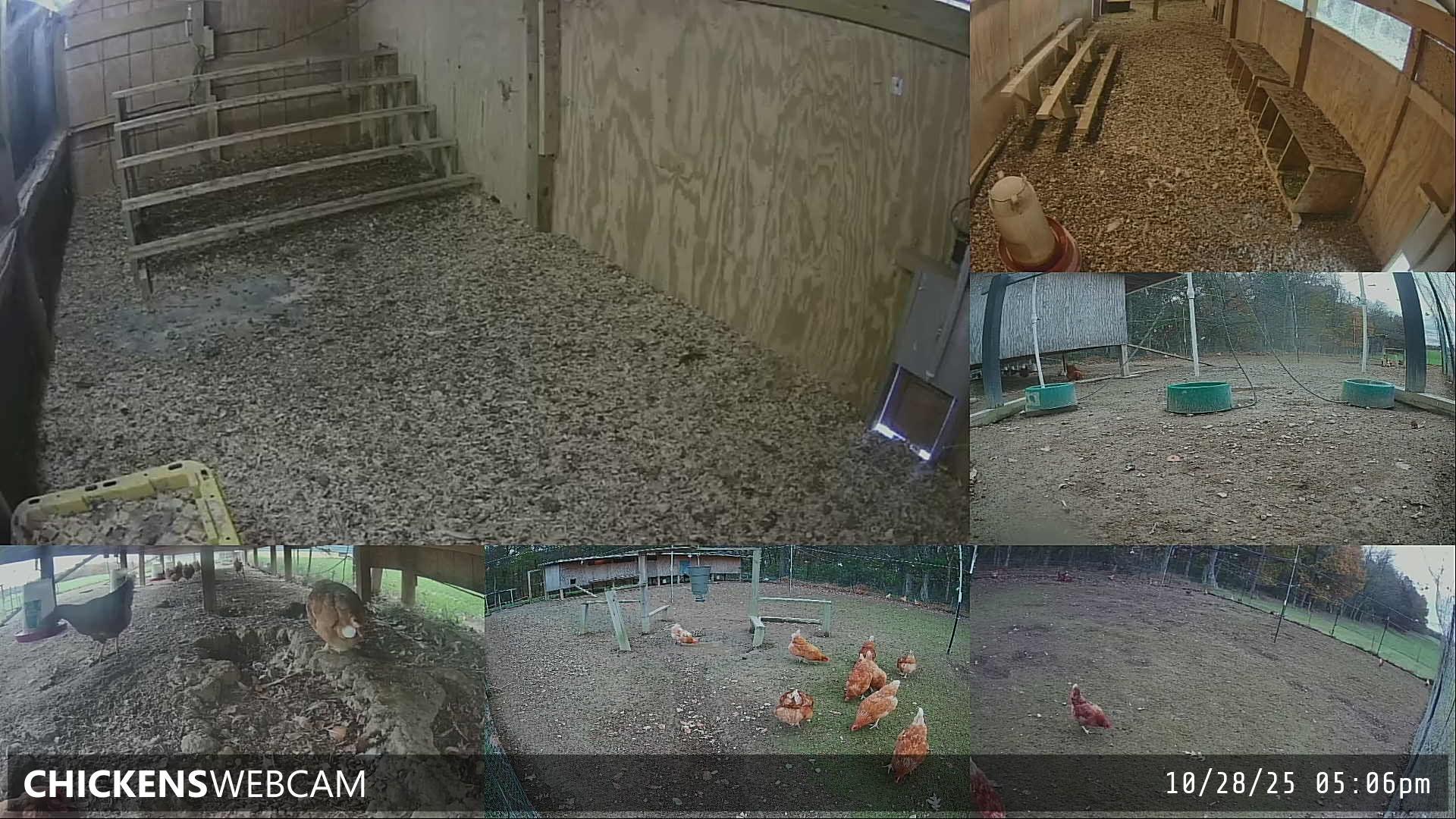 Twitch Stream Preview