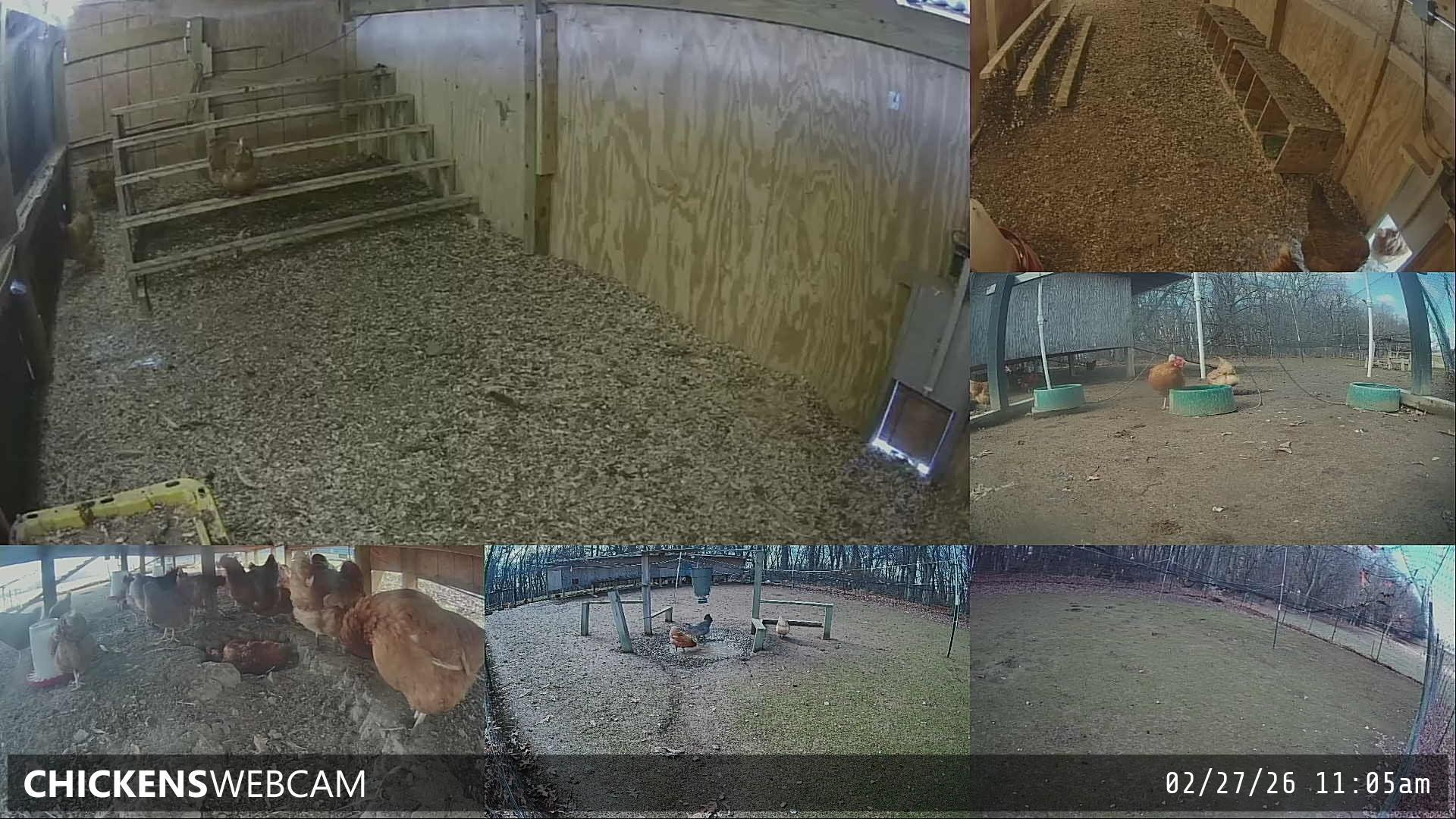 Twitch Stream Preview