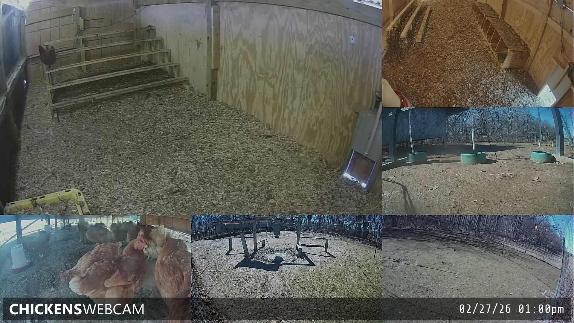 Twitch Stream Preview