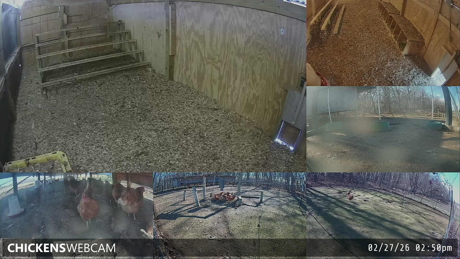 Twitch Stream Preview