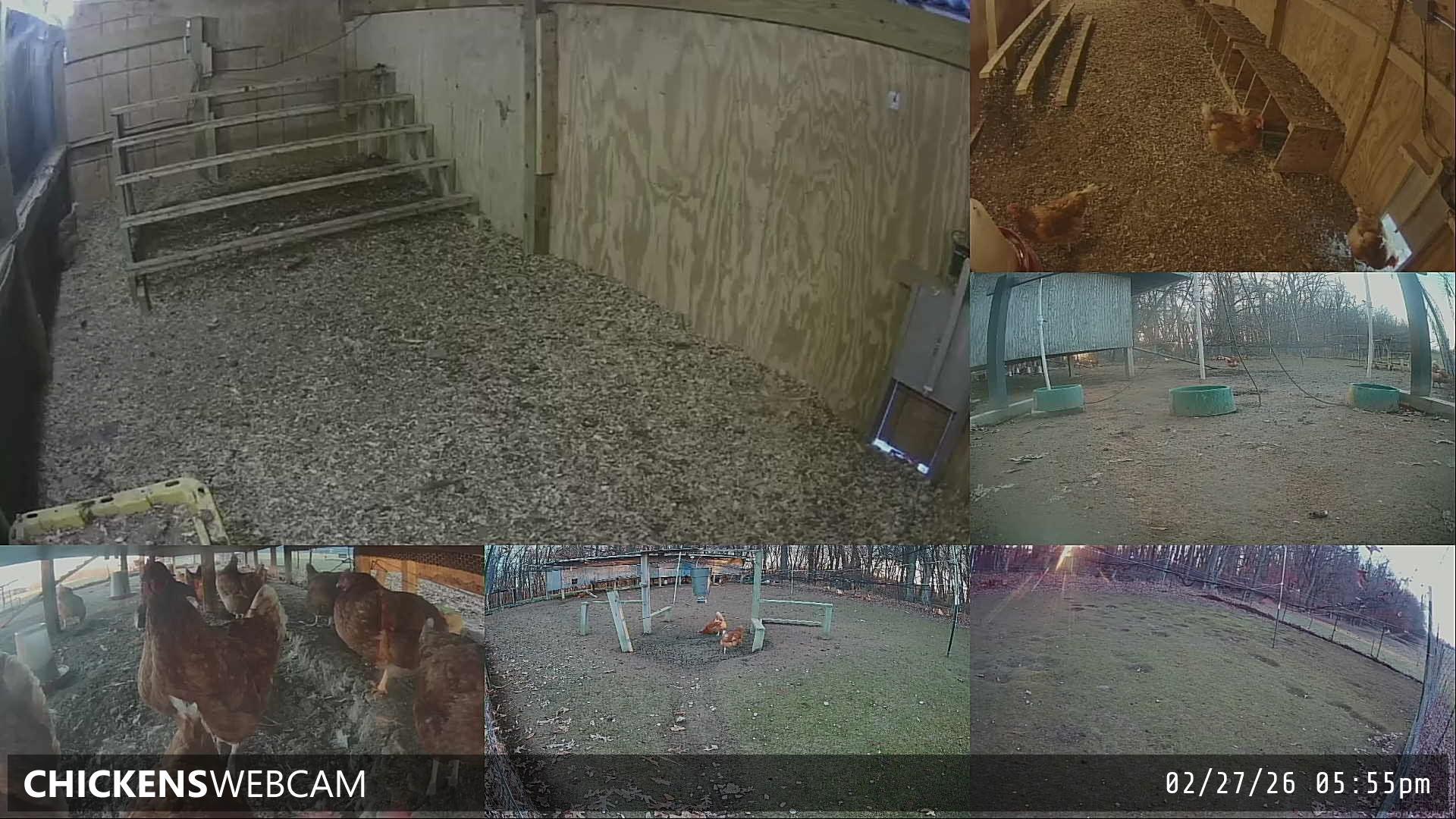 Twitch Stream Preview