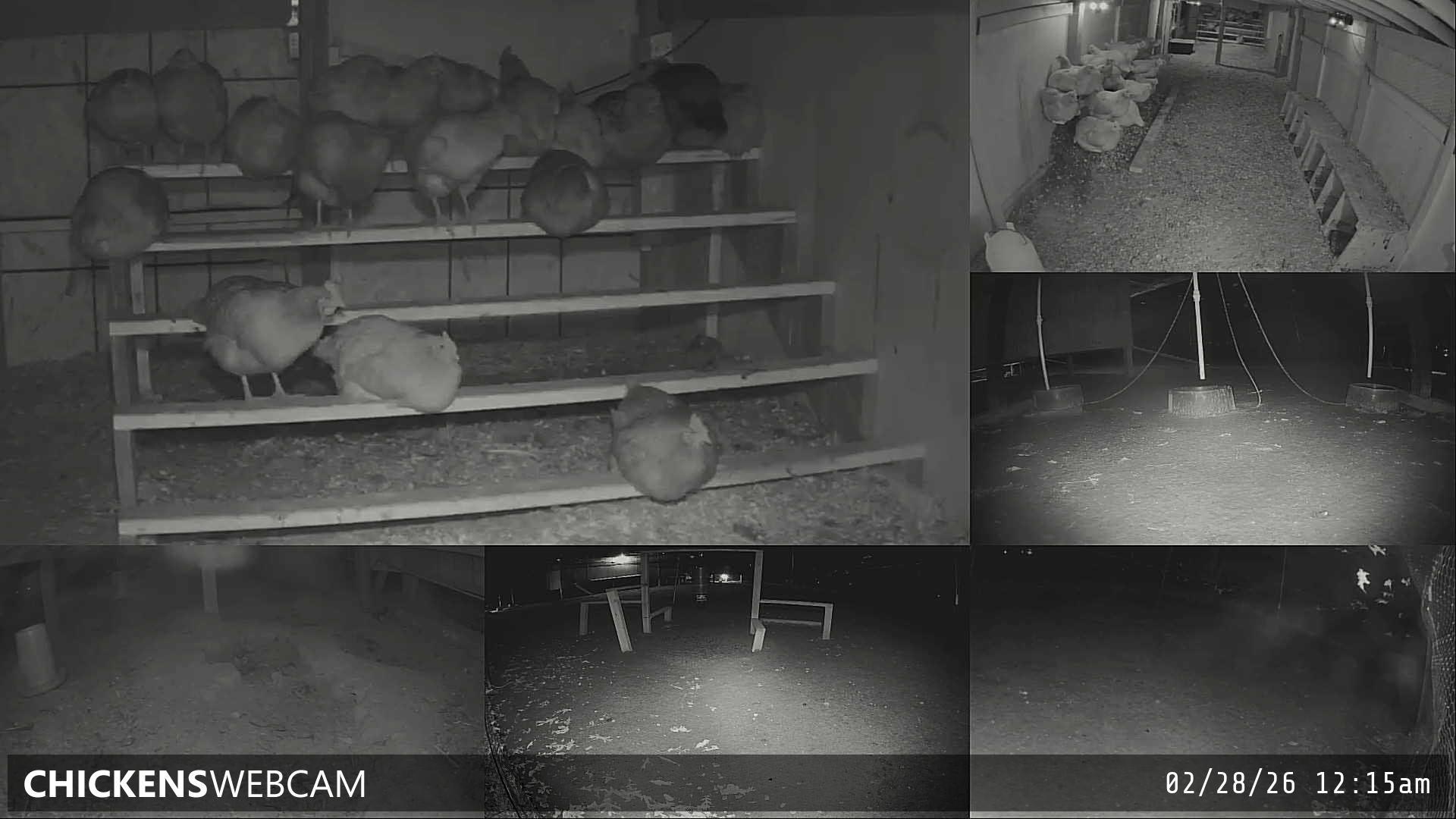 Twitch Stream Preview