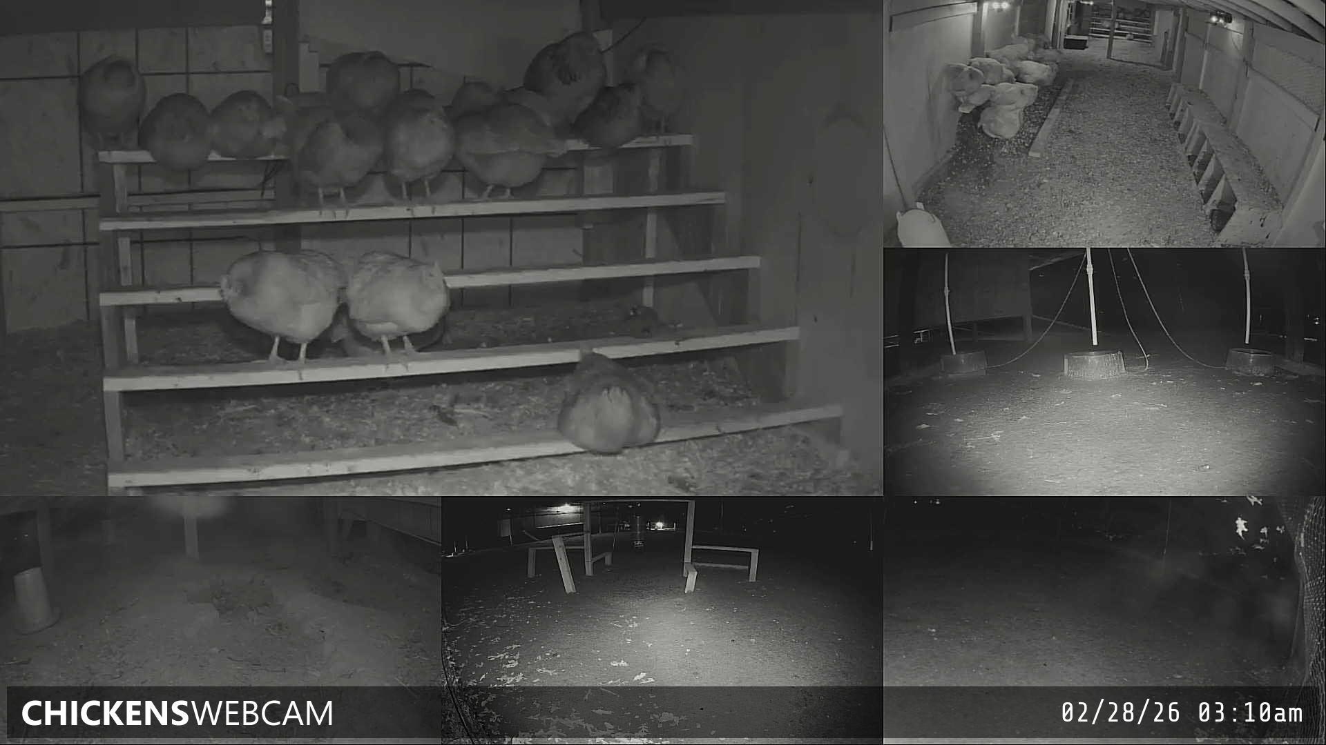 Twitch Stream Preview