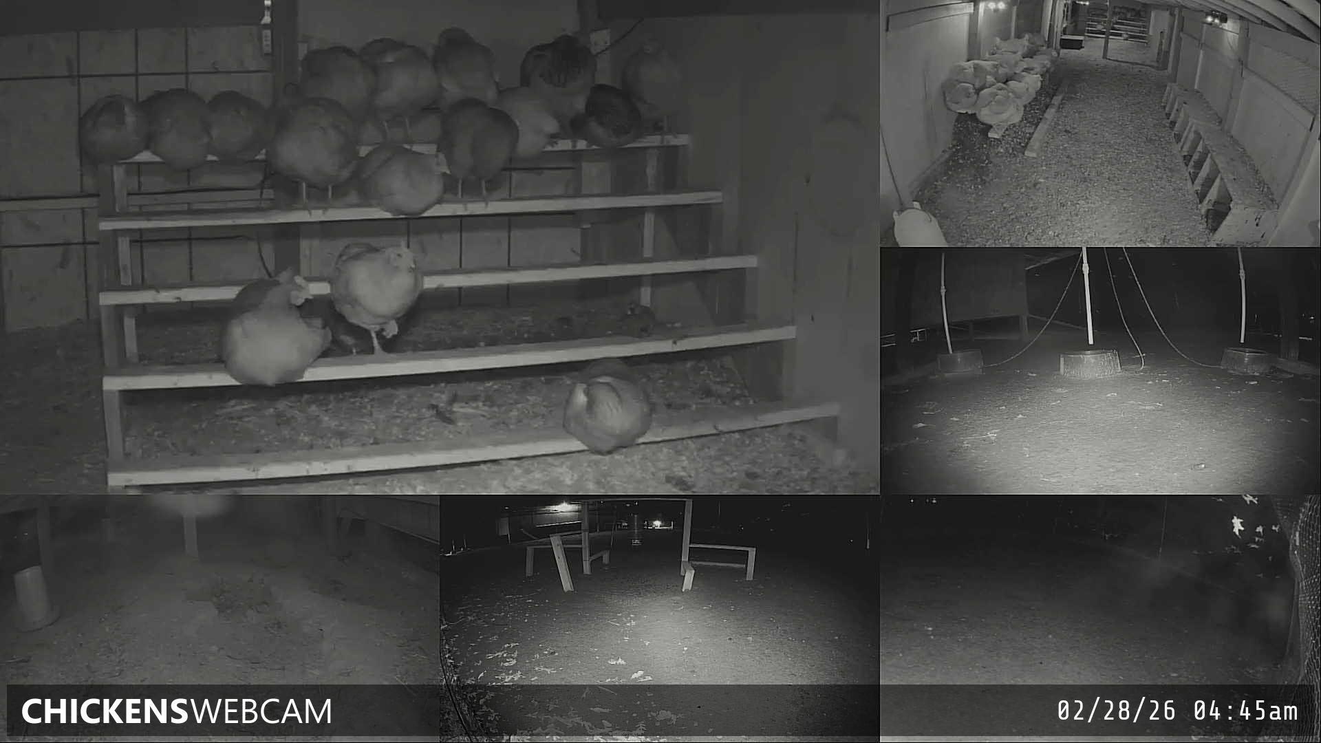 Twitch Stream Preview