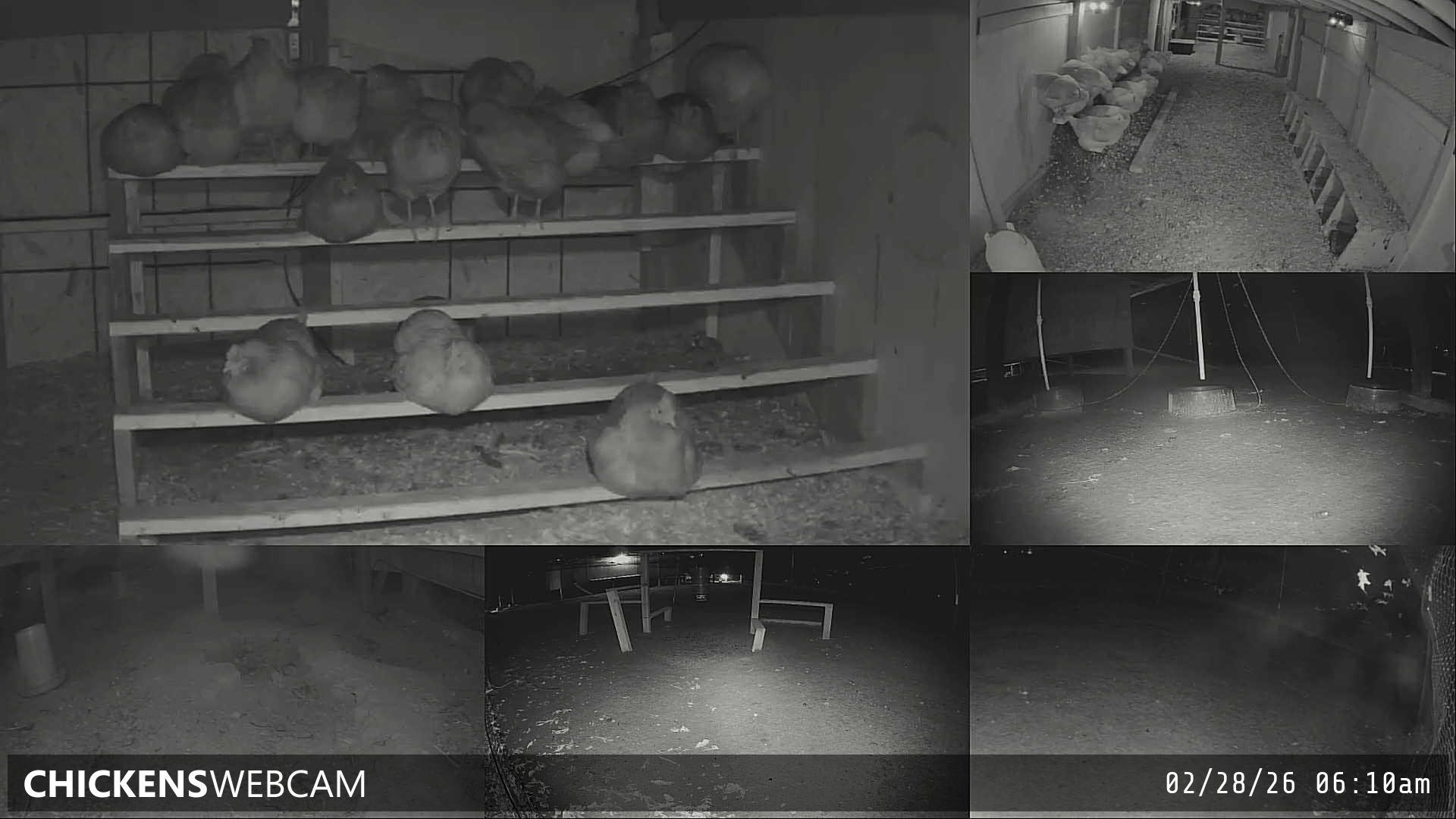 Twitch Stream Preview