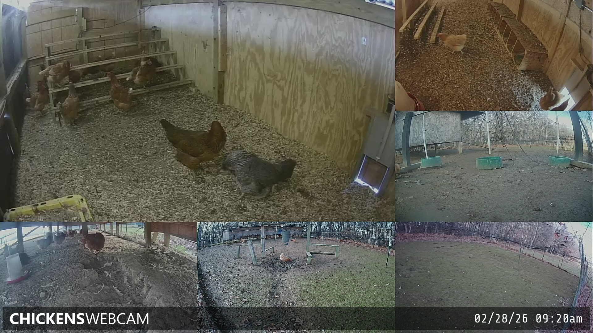 Twitch Stream Preview