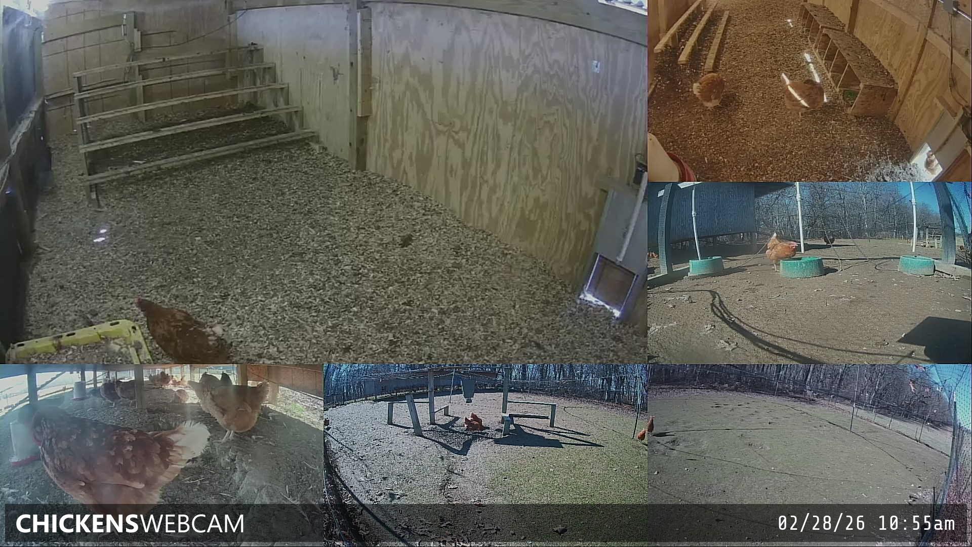 Twitch Stream Preview