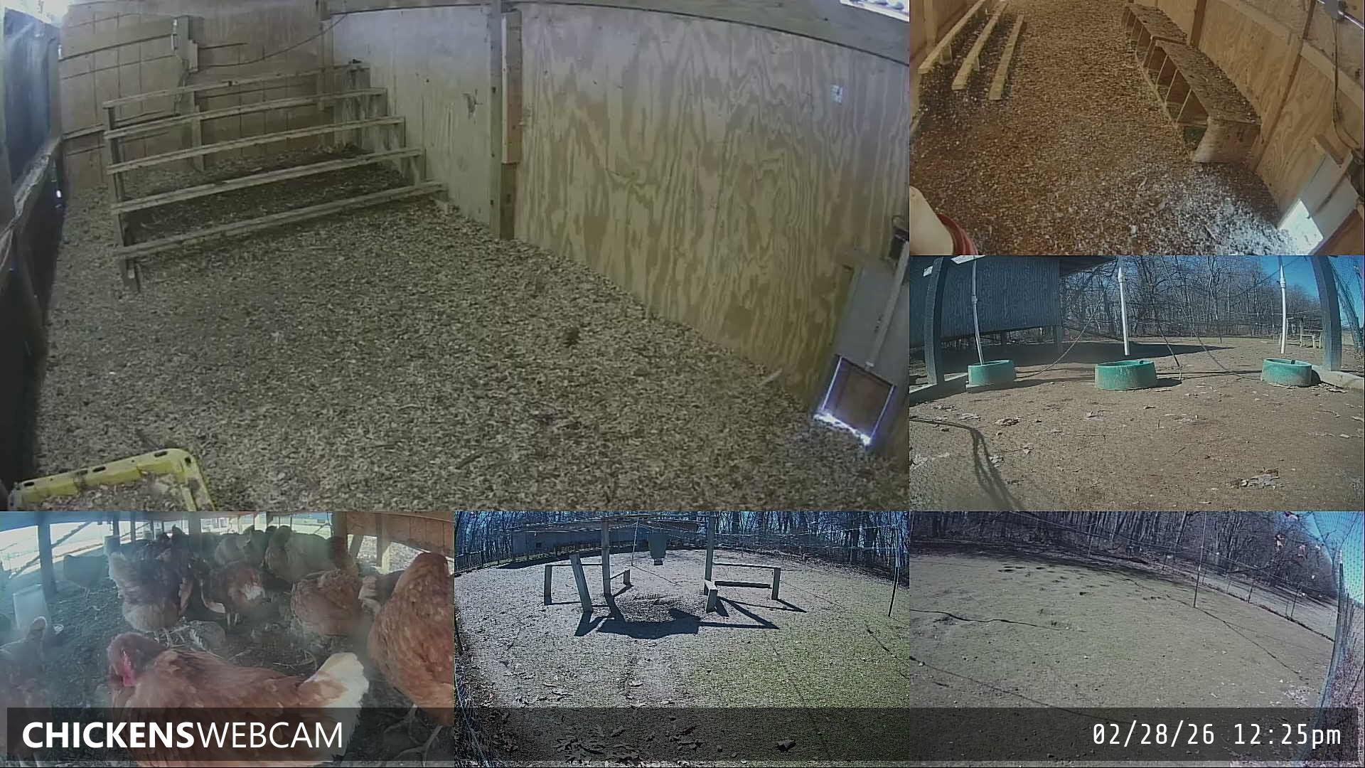 Twitch Stream Preview