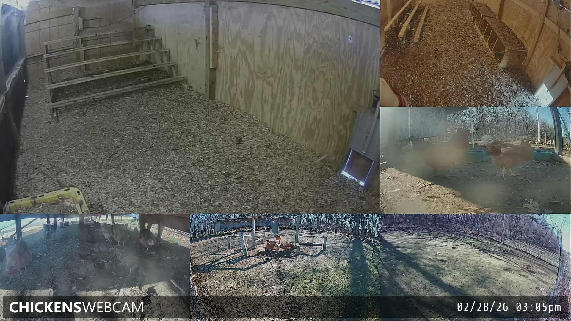 Twitch Stream Preview