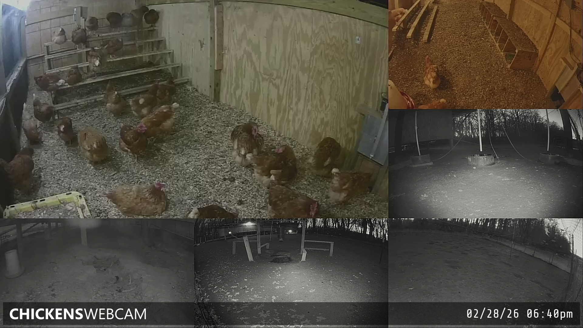 Twitch Stream Preview