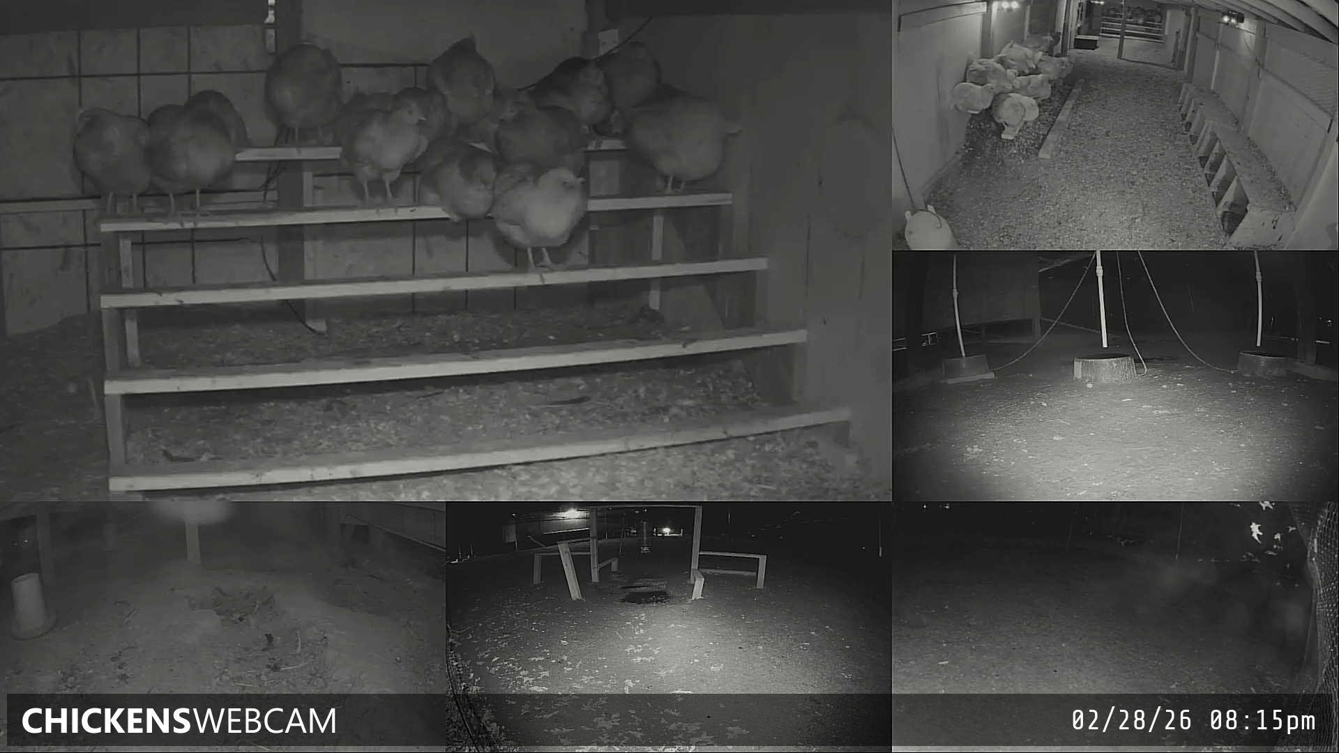 Twitch Stream Preview