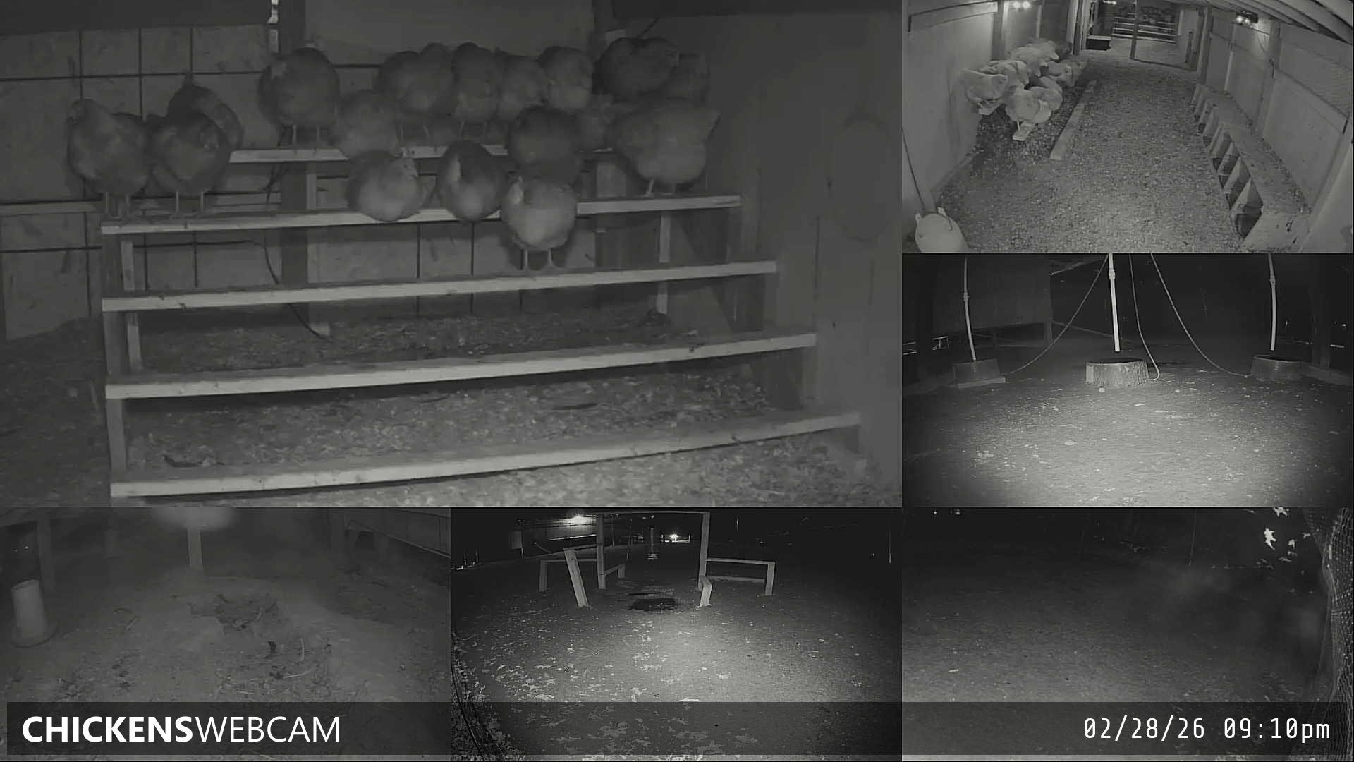 Twitch Stream Preview