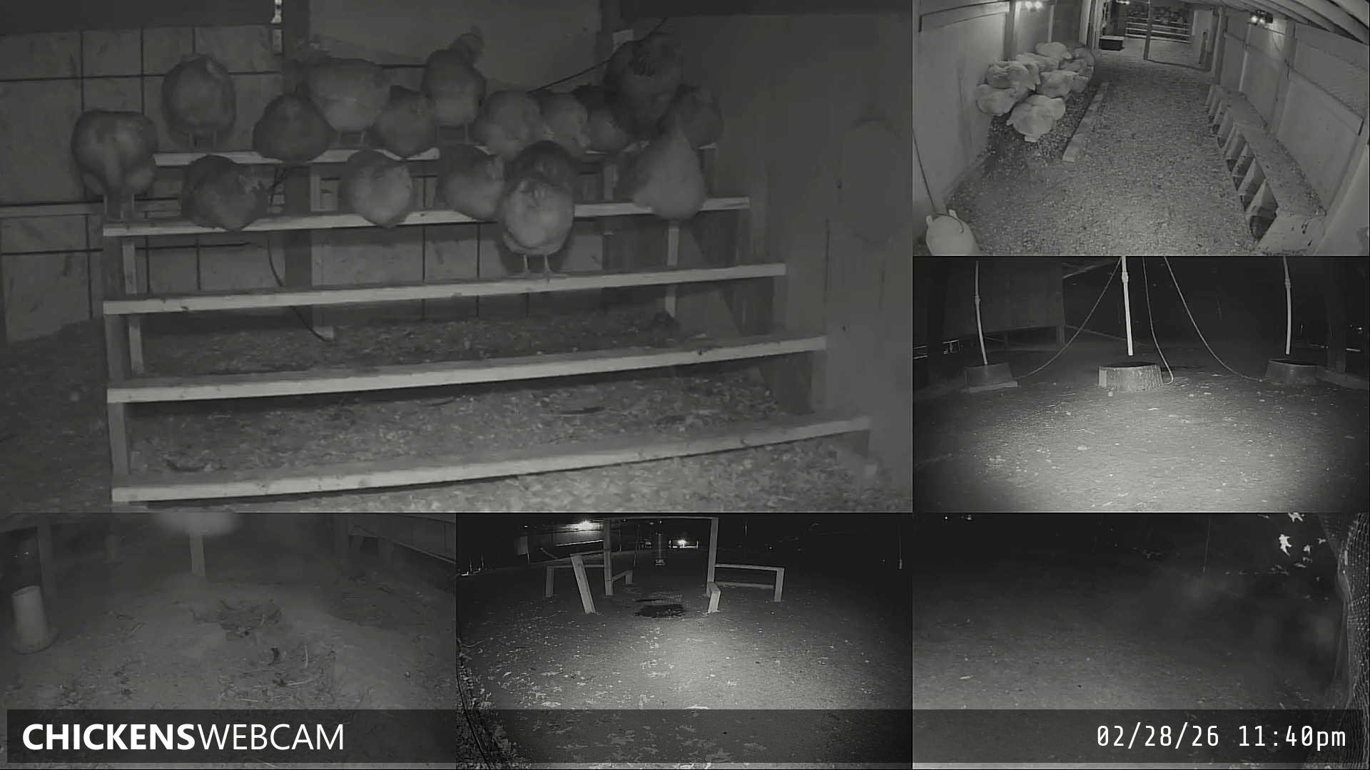 Twitch Stream Preview