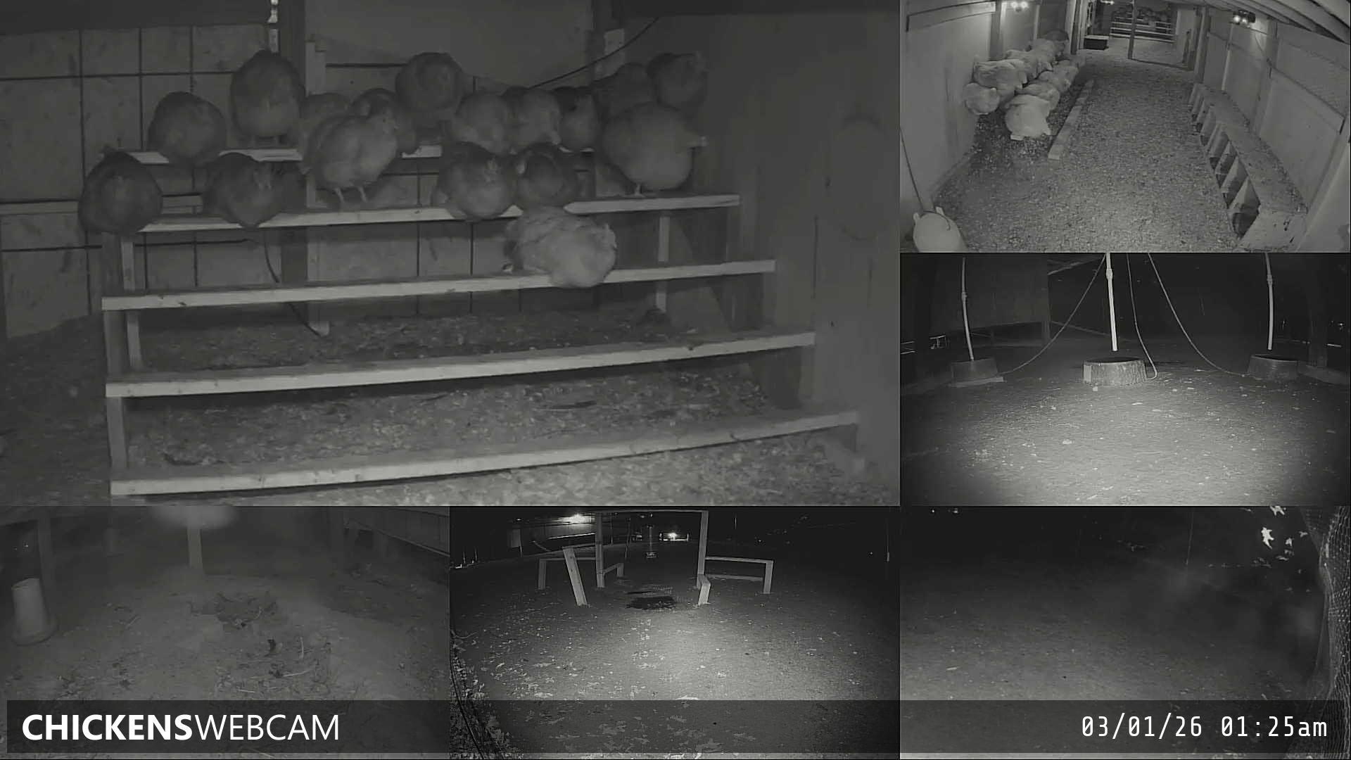 Twitch Stream Preview