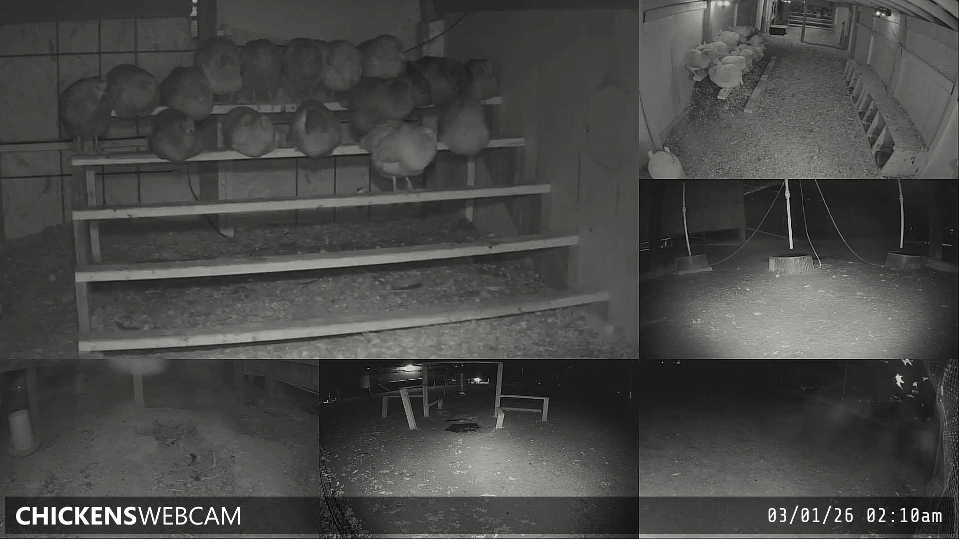 Twitch Stream Preview