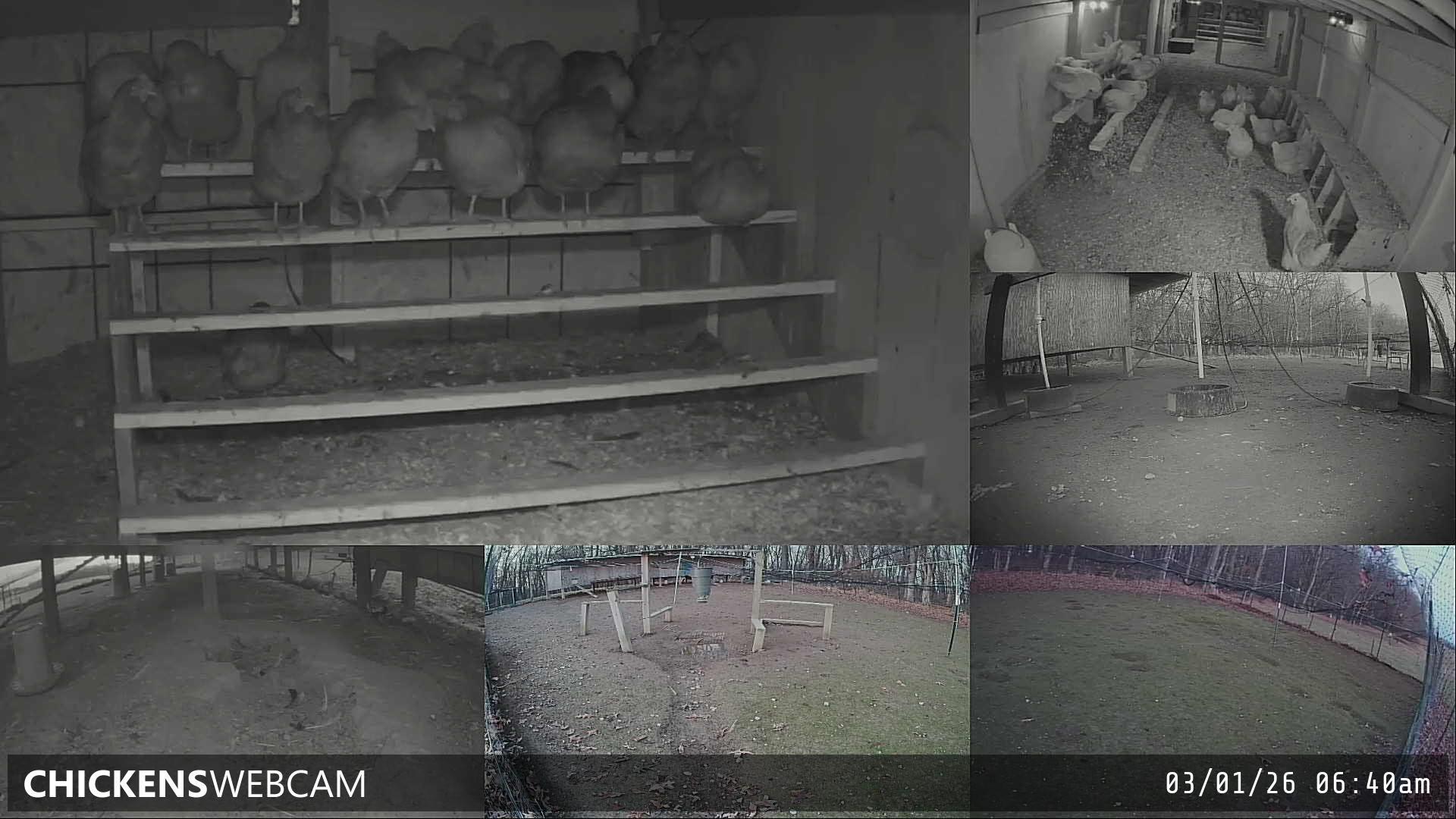 Twitch Stream Preview