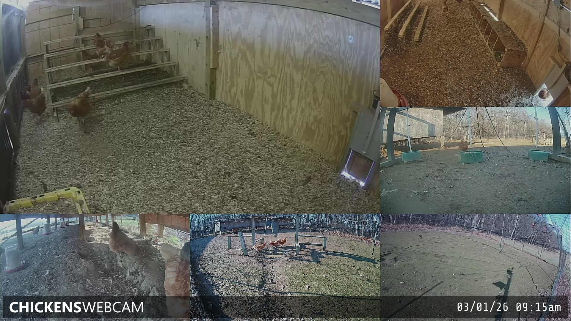 Twitch Stream Preview