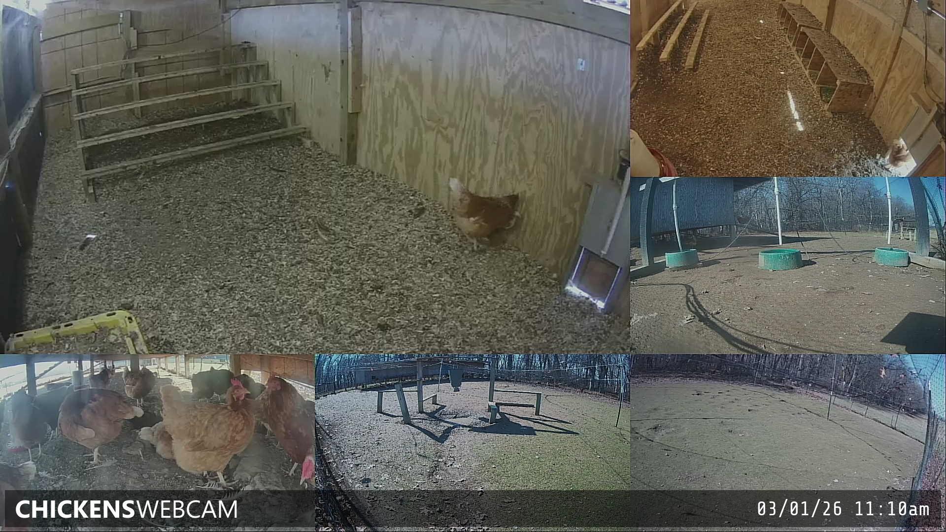 Twitch Stream Preview