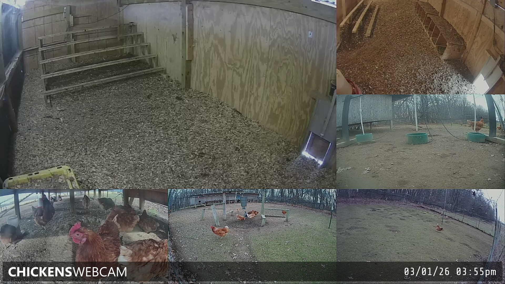 Twitch Stream Preview