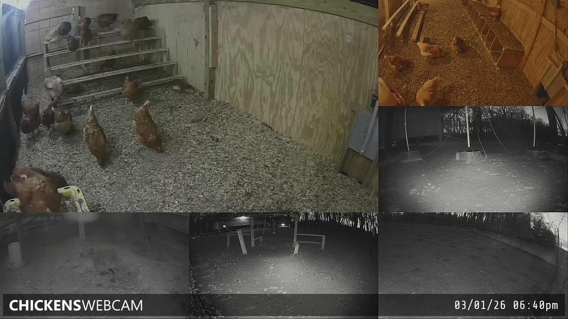 Twitch Stream Preview