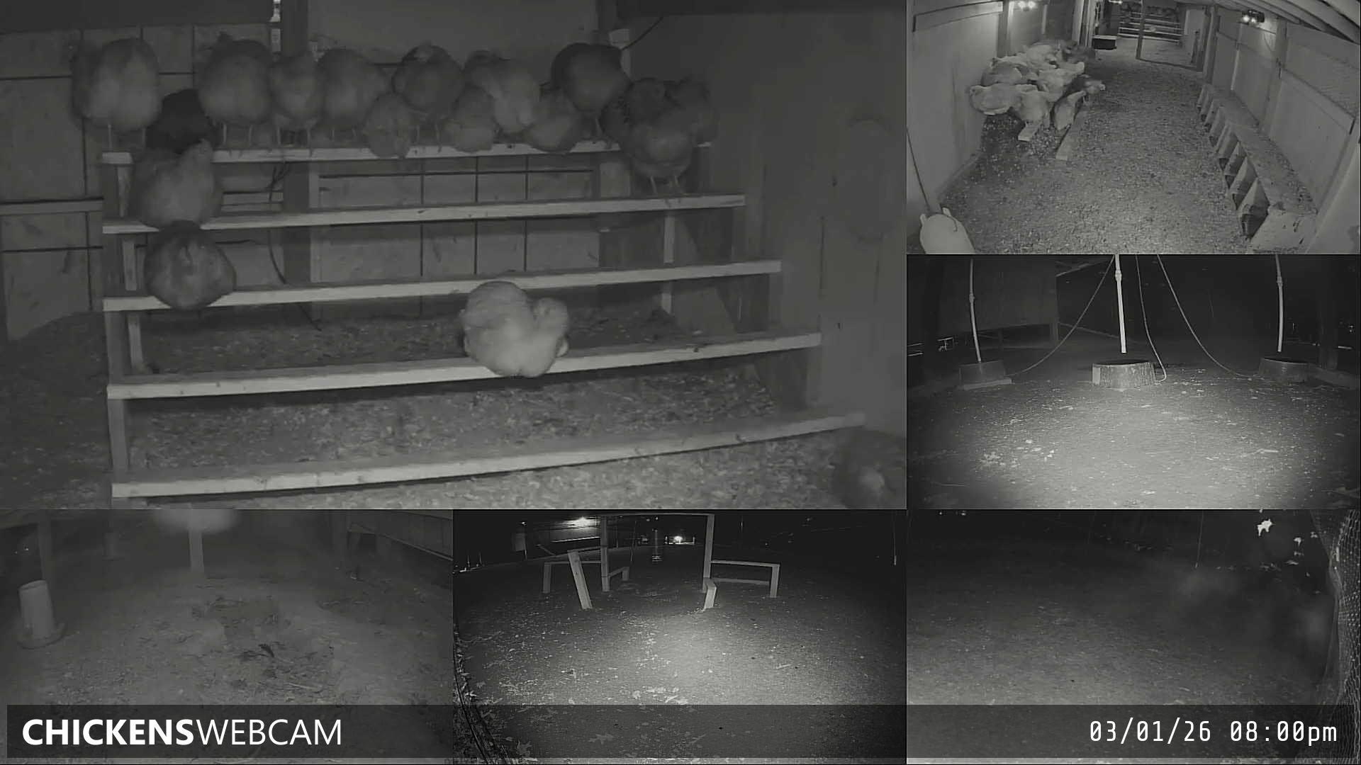 Twitch Stream Preview