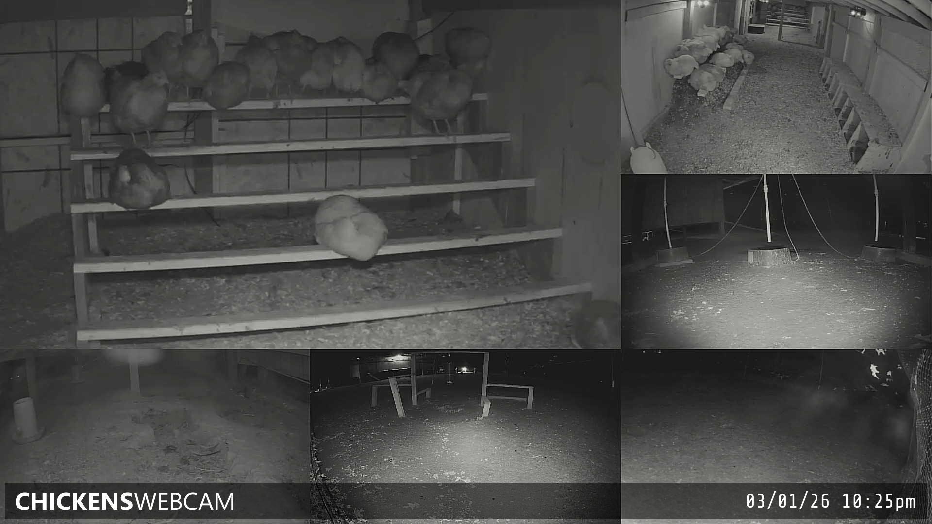 Twitch Stream Preview