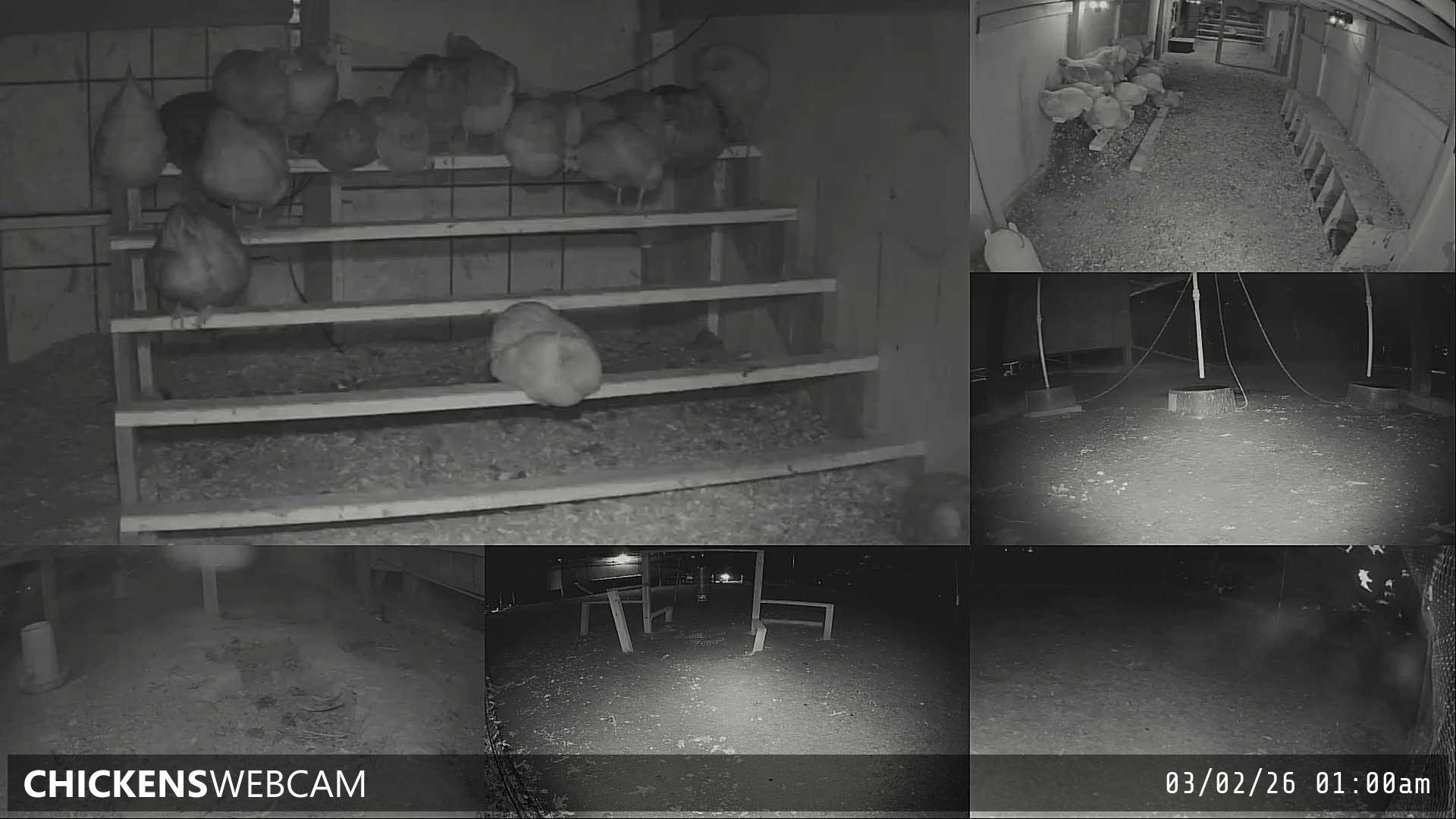 Twitch Stream Preview