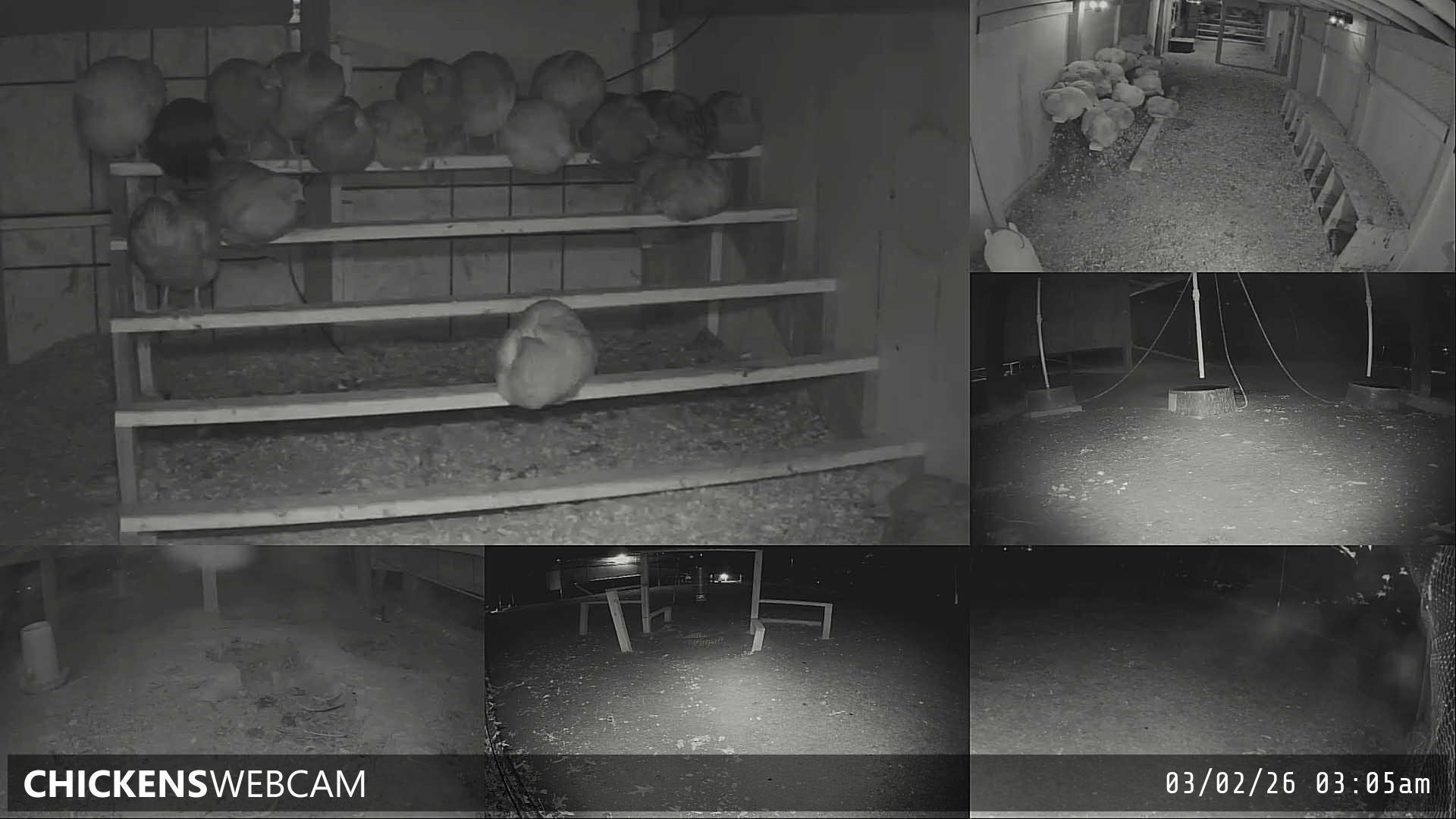 Twitch Stream Preview