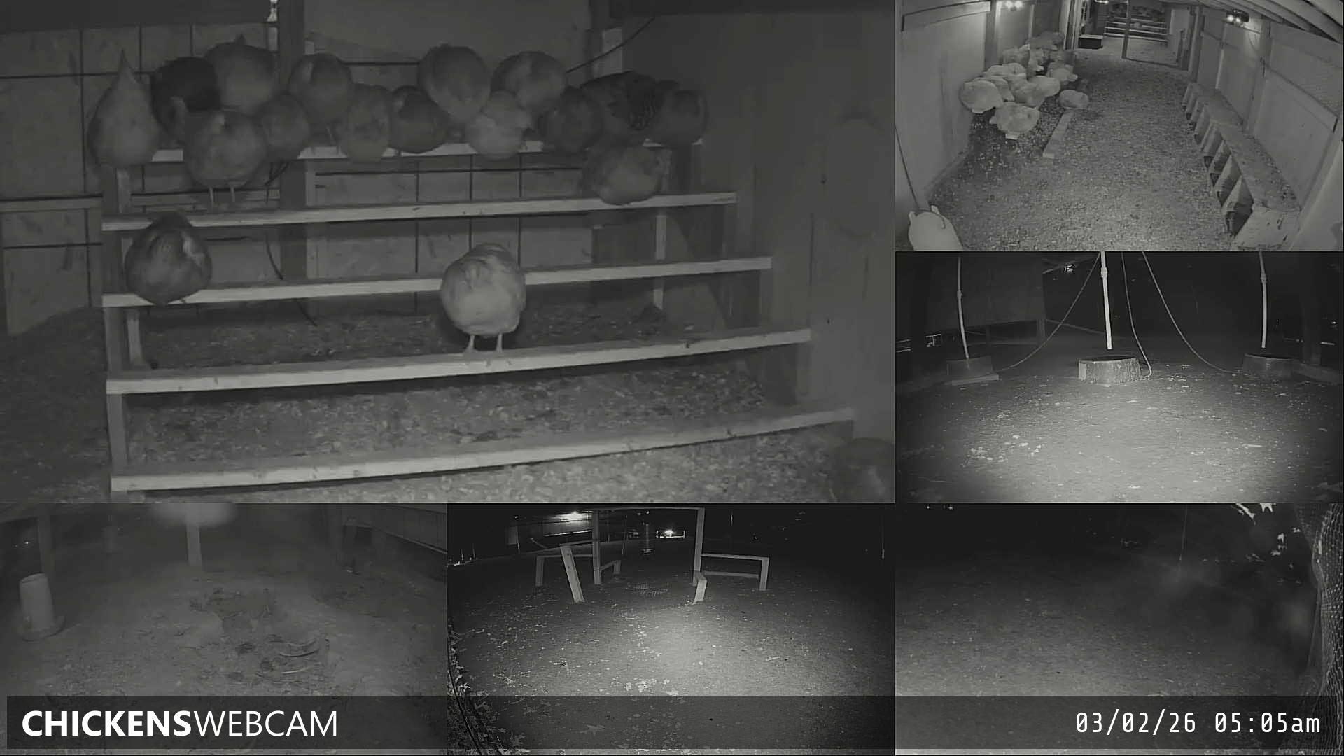 Twitch Stream Preview