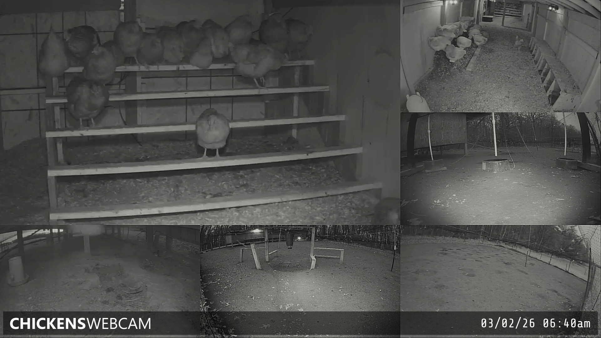 Twitch Stream Preview