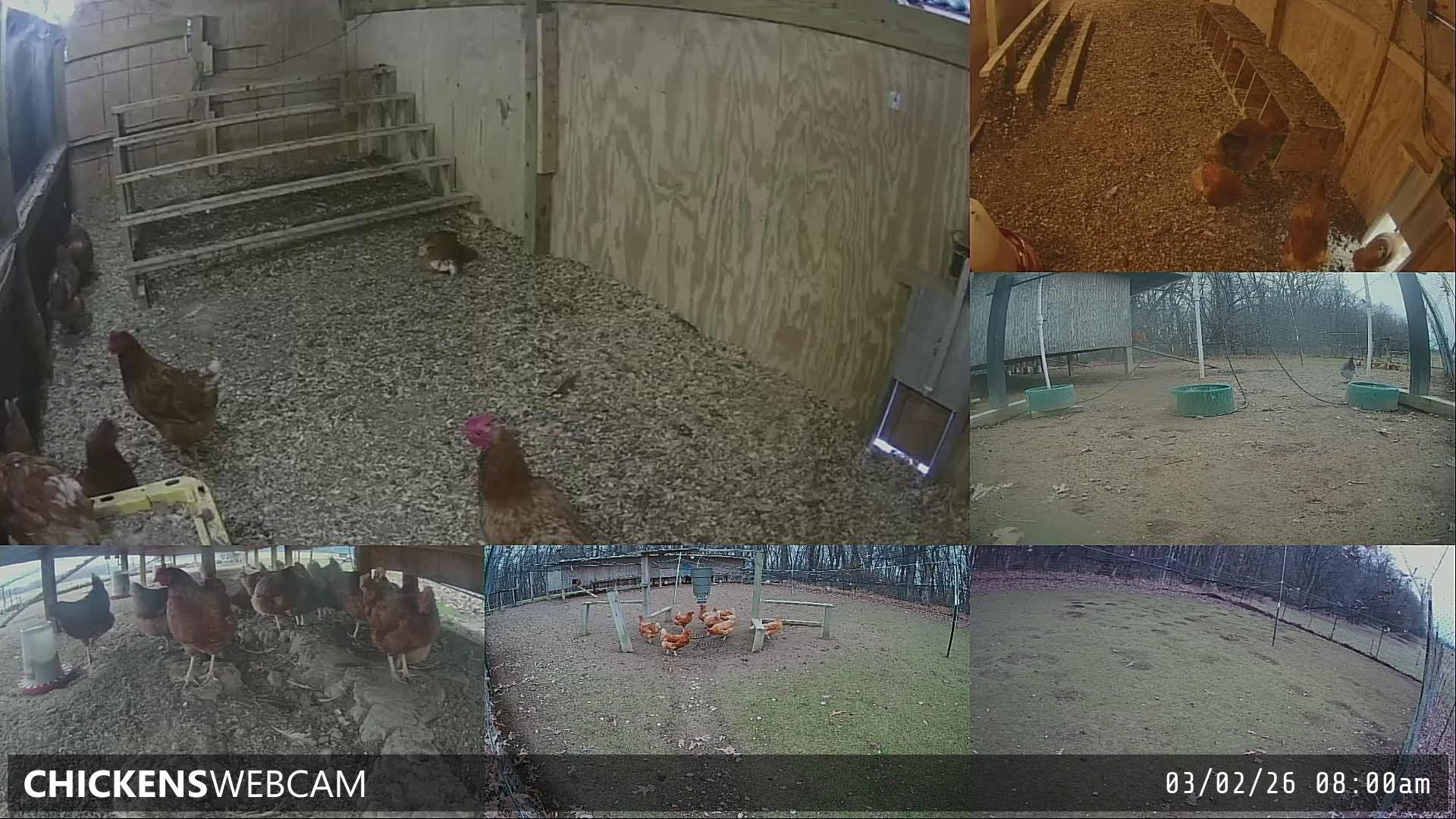 Twitch Stream Preview