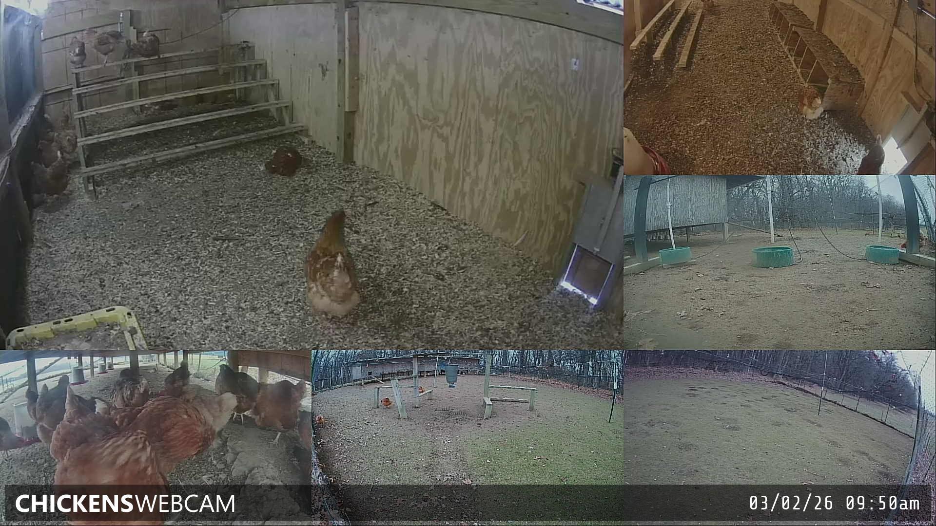 Twitch Stream Preview