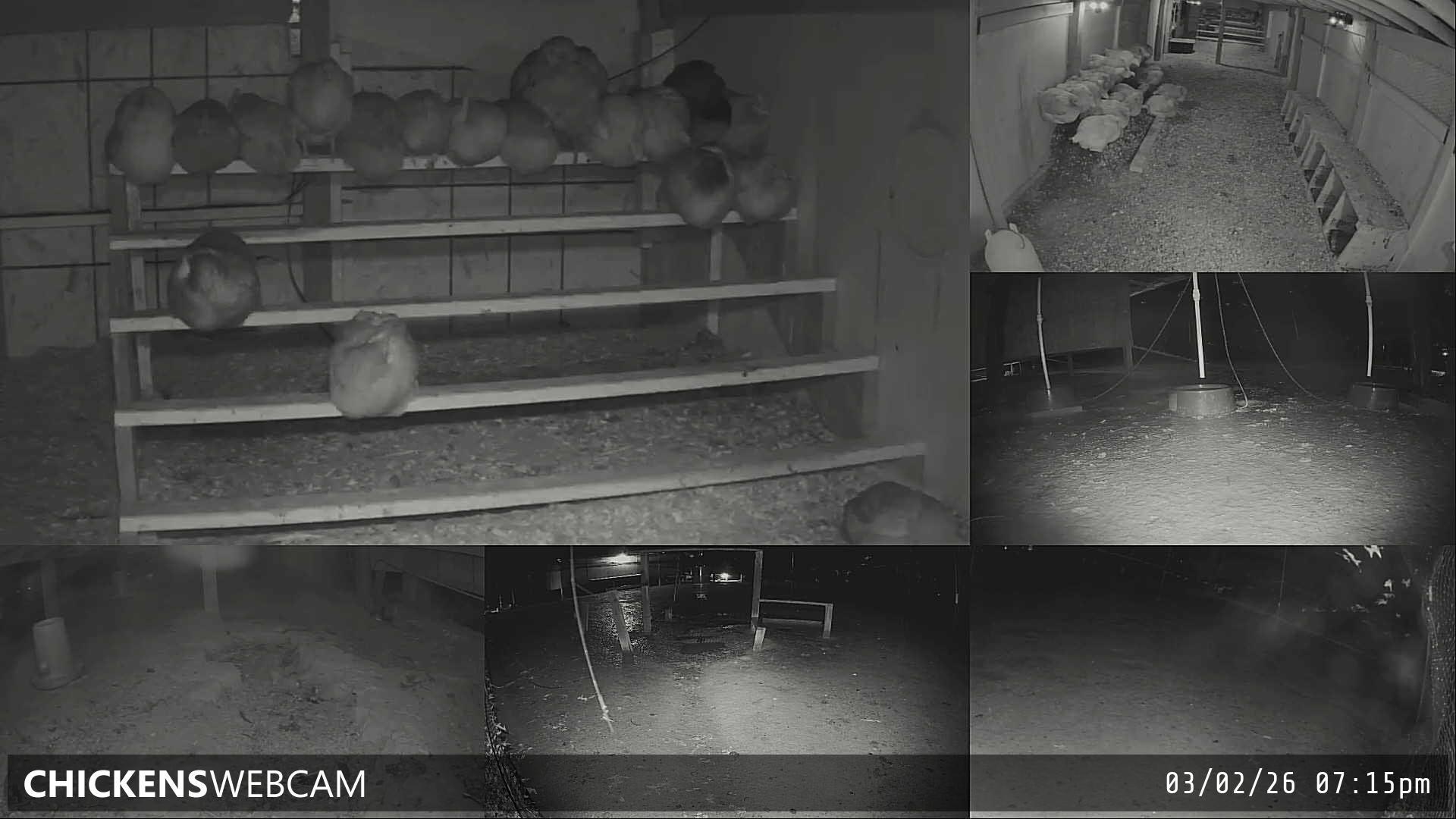 Twitch Stream Preview