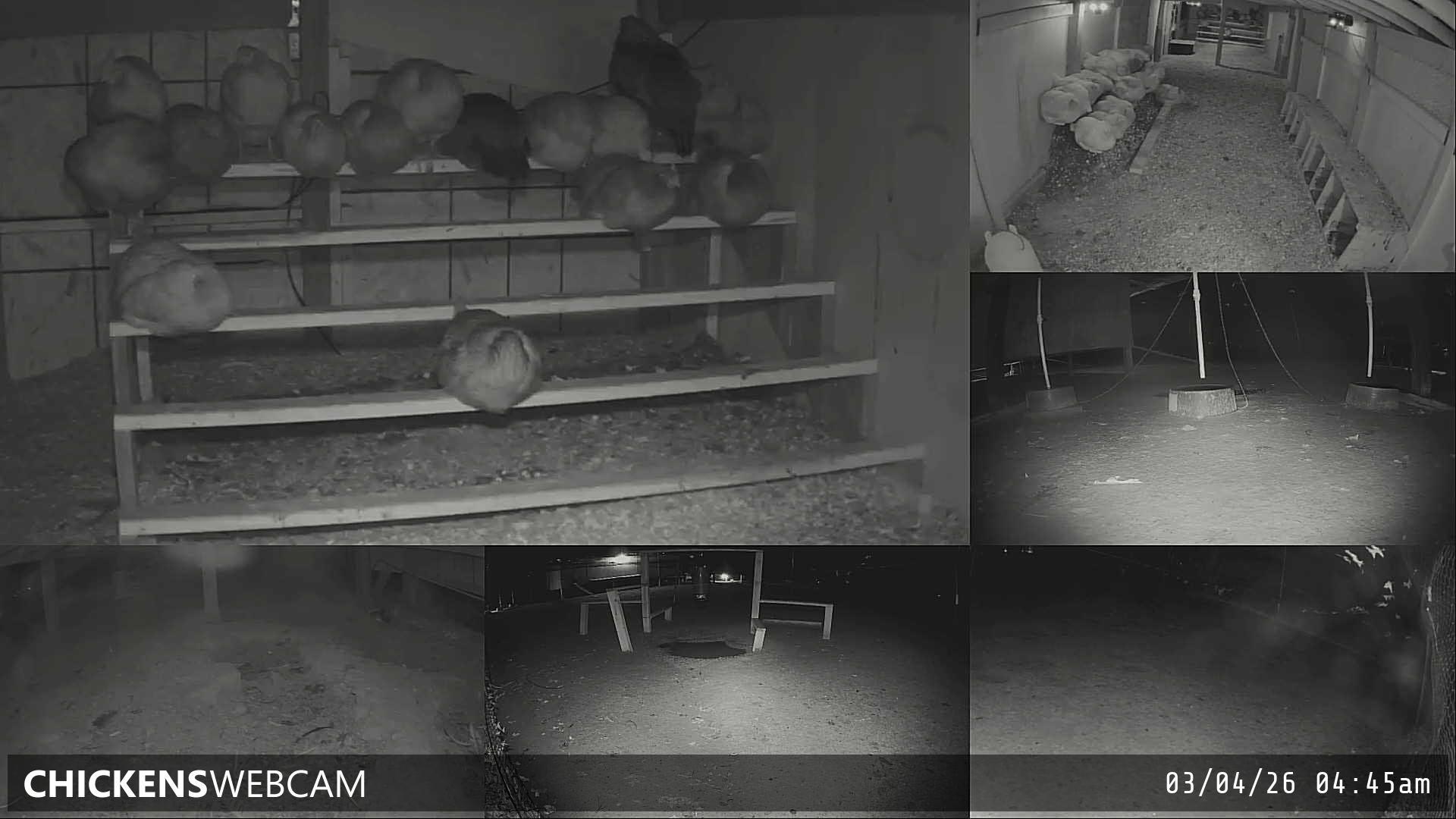 Twitch Stream Preview