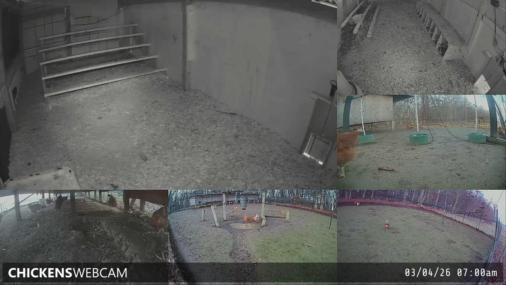 Twitch Stream Preview