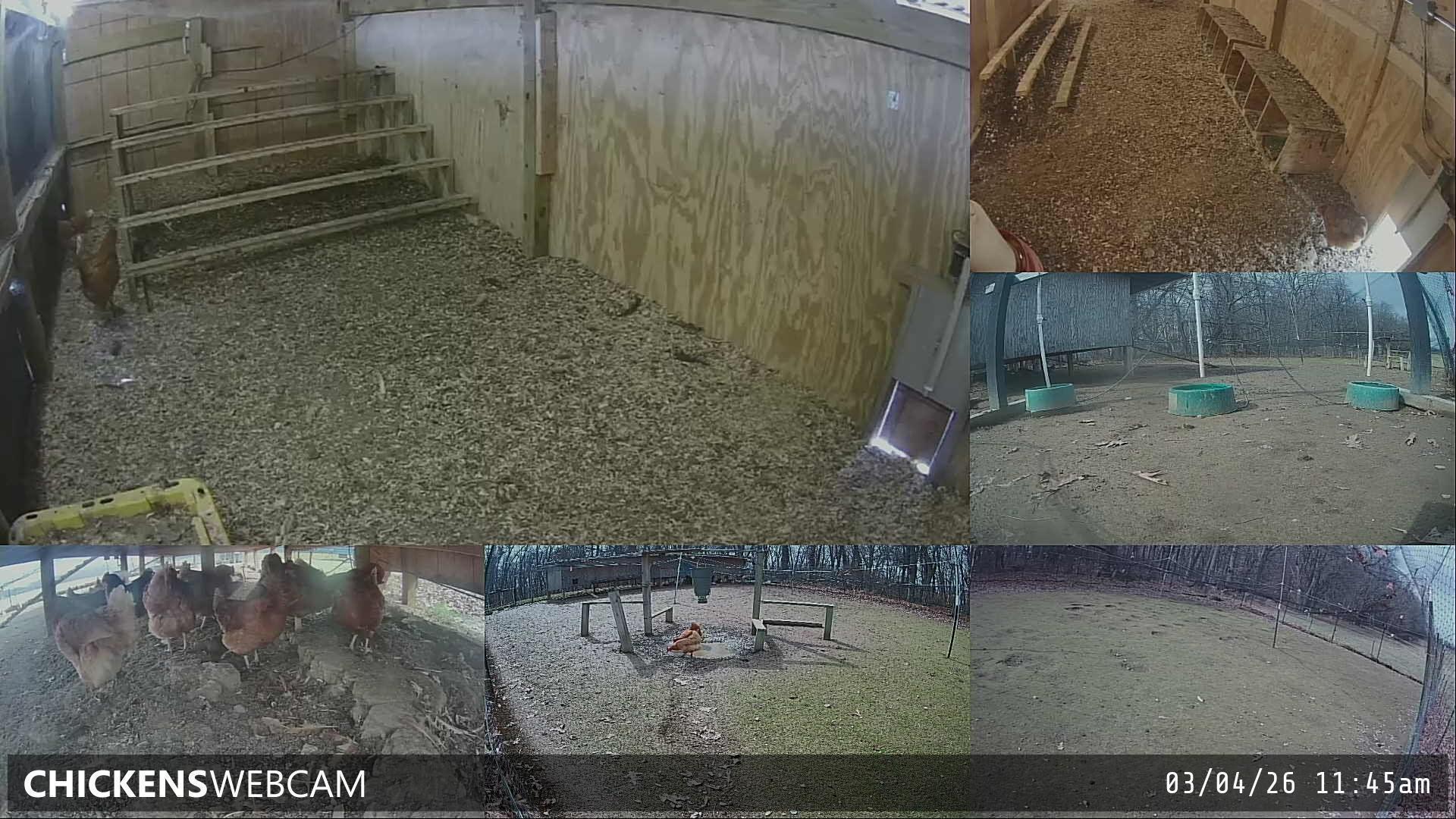 Twitch Stream Preview