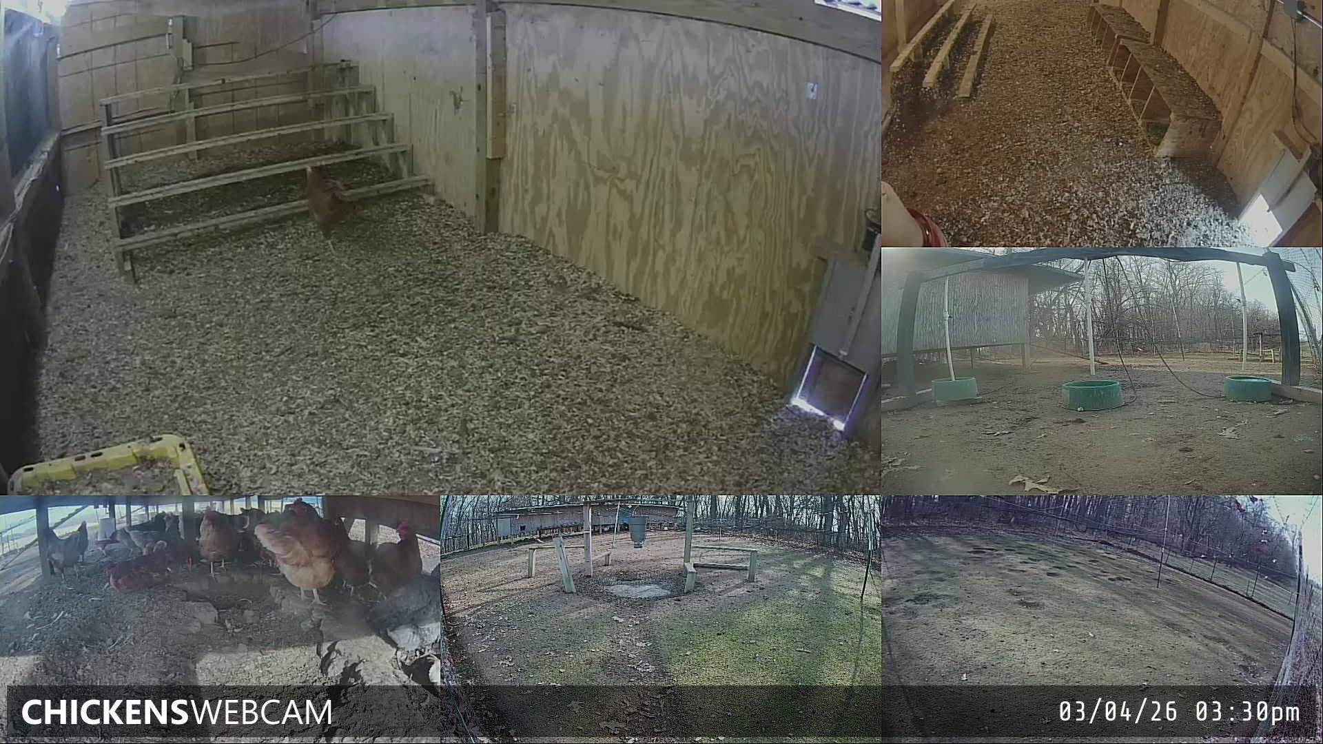 Twitch Stream Preview