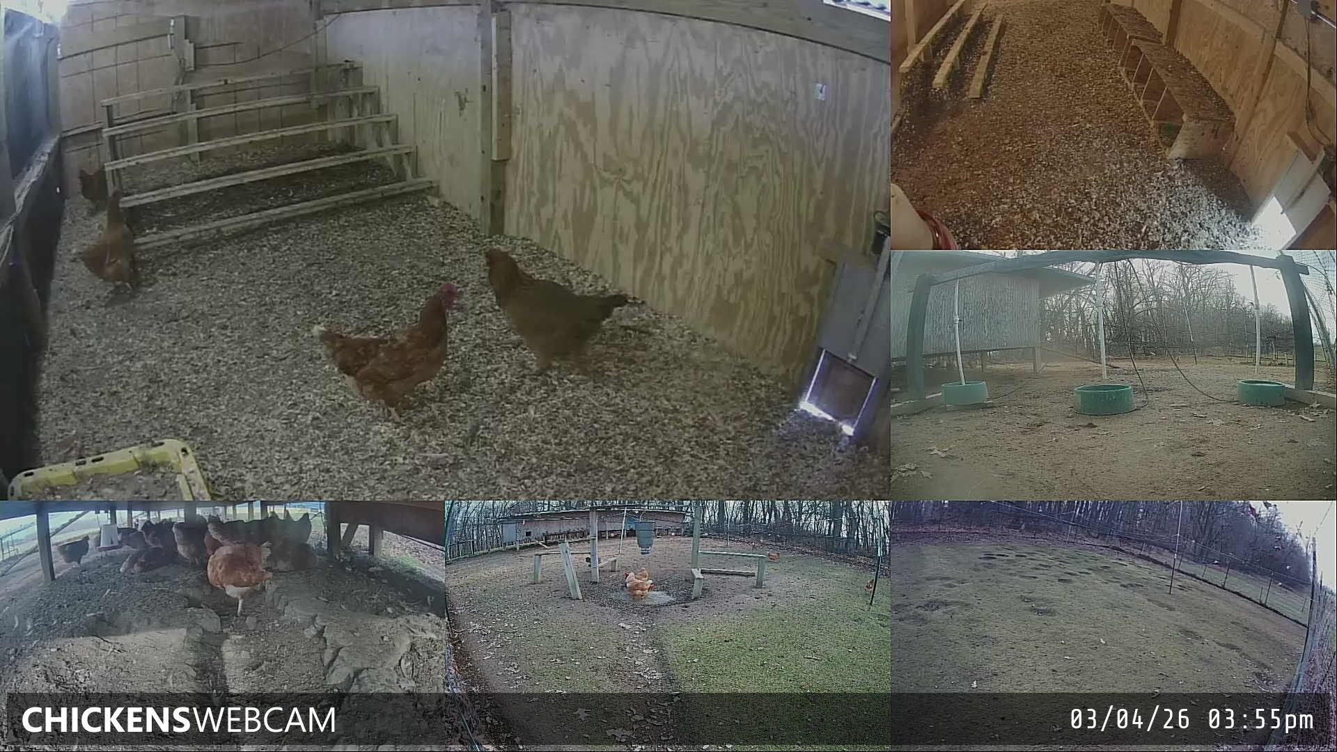 Twitch Stream Preview