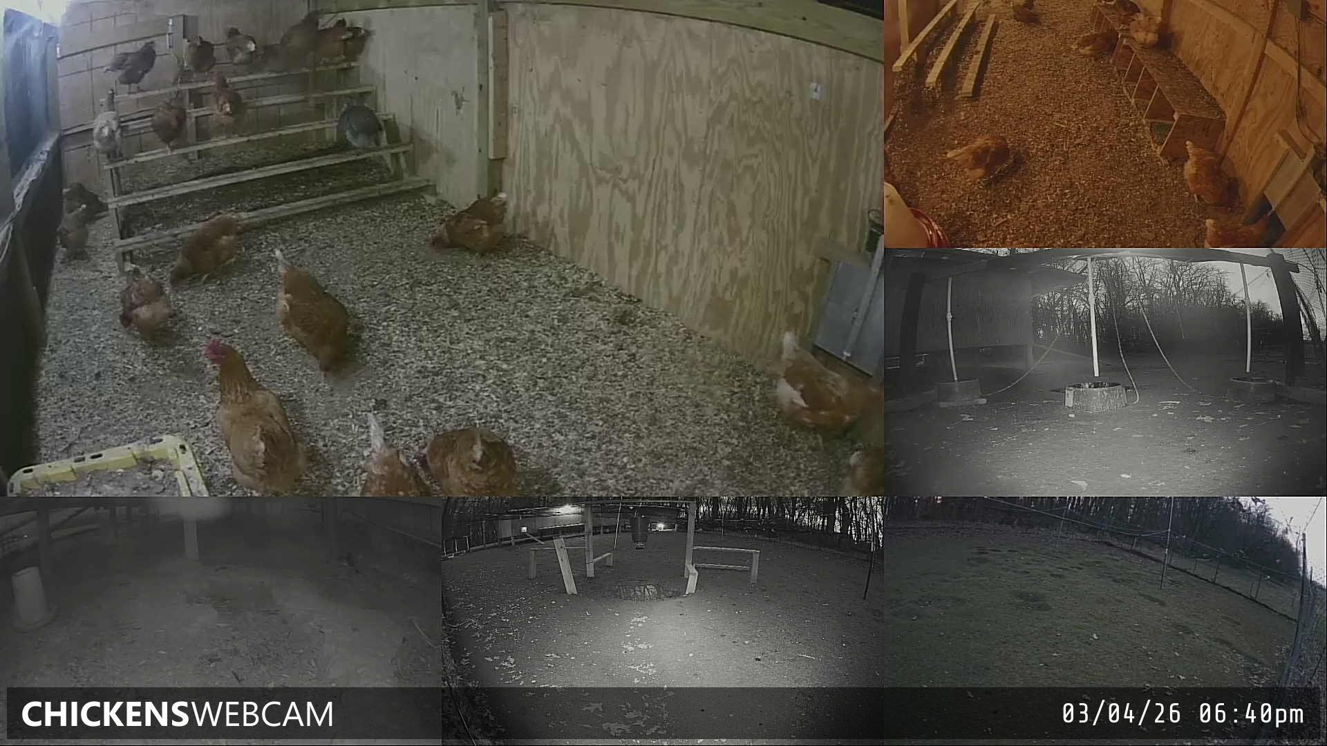 Twitch Stream Preview