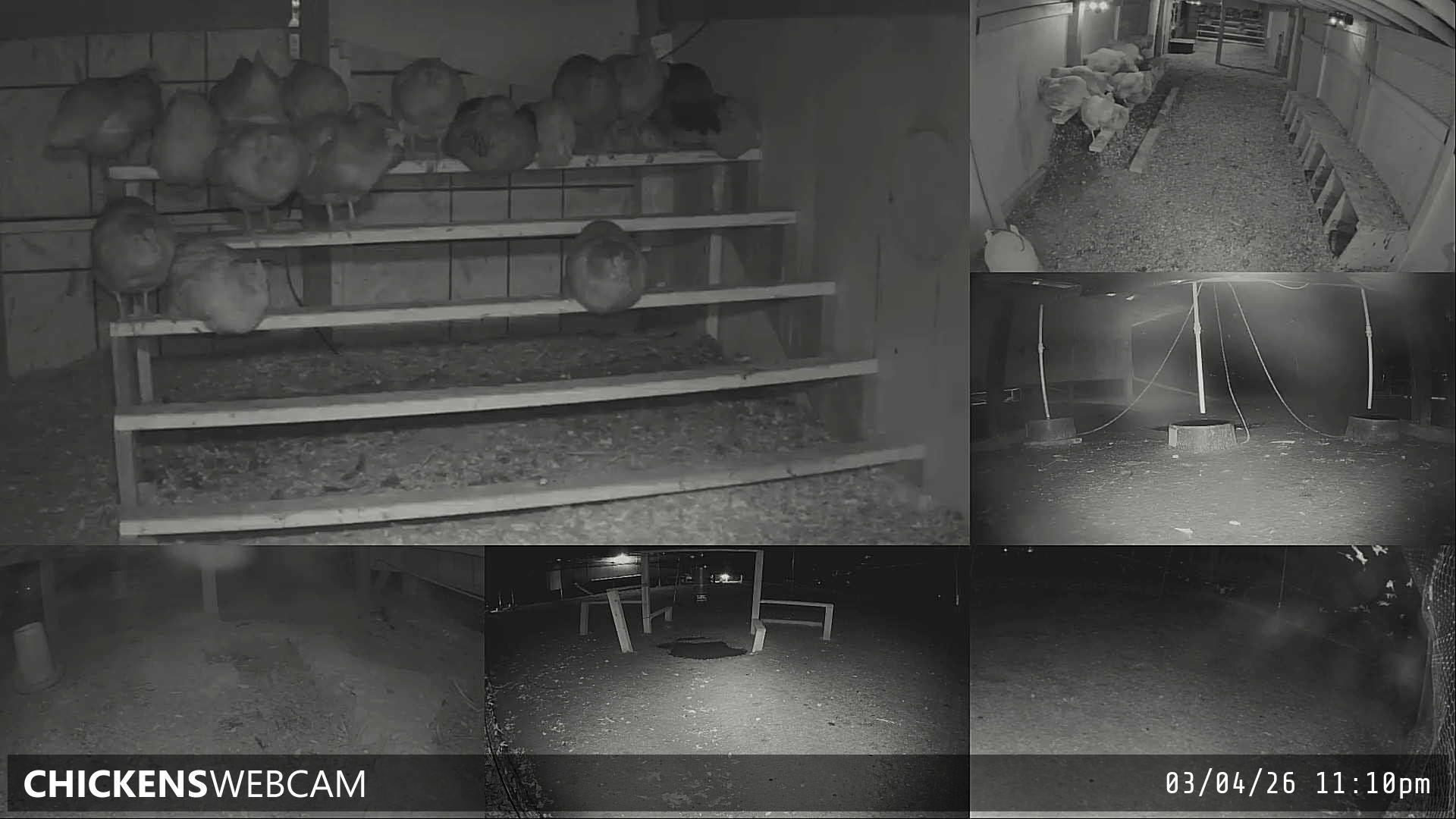 Twitch Stream Preview