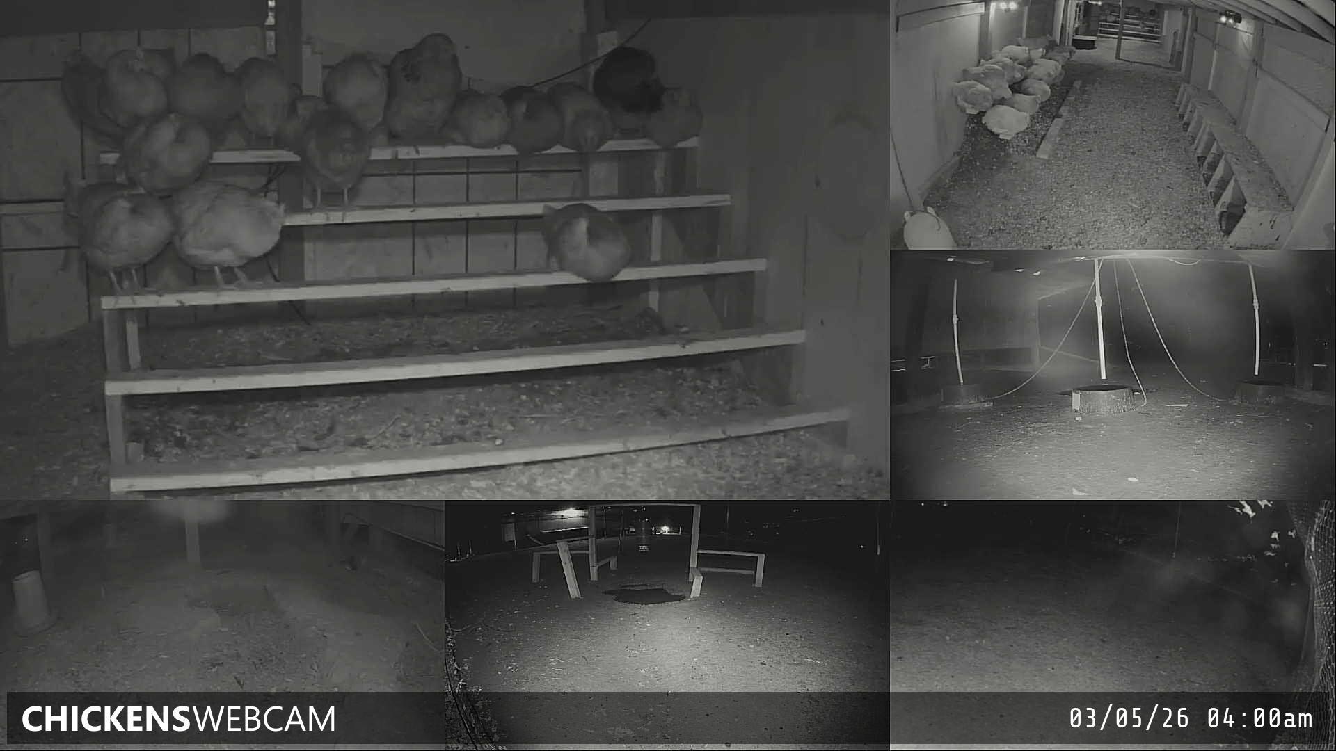 Twitch Stream Preview