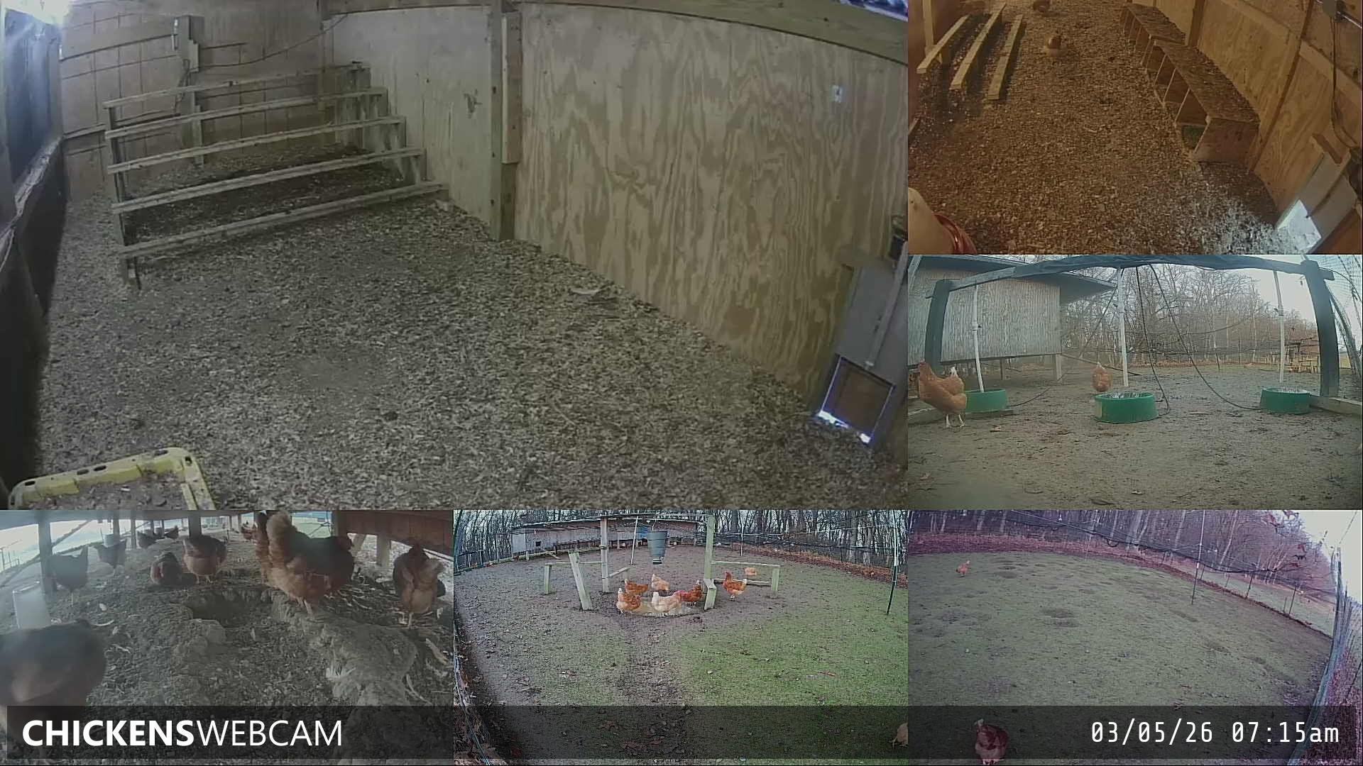 Twitch Stream Preview