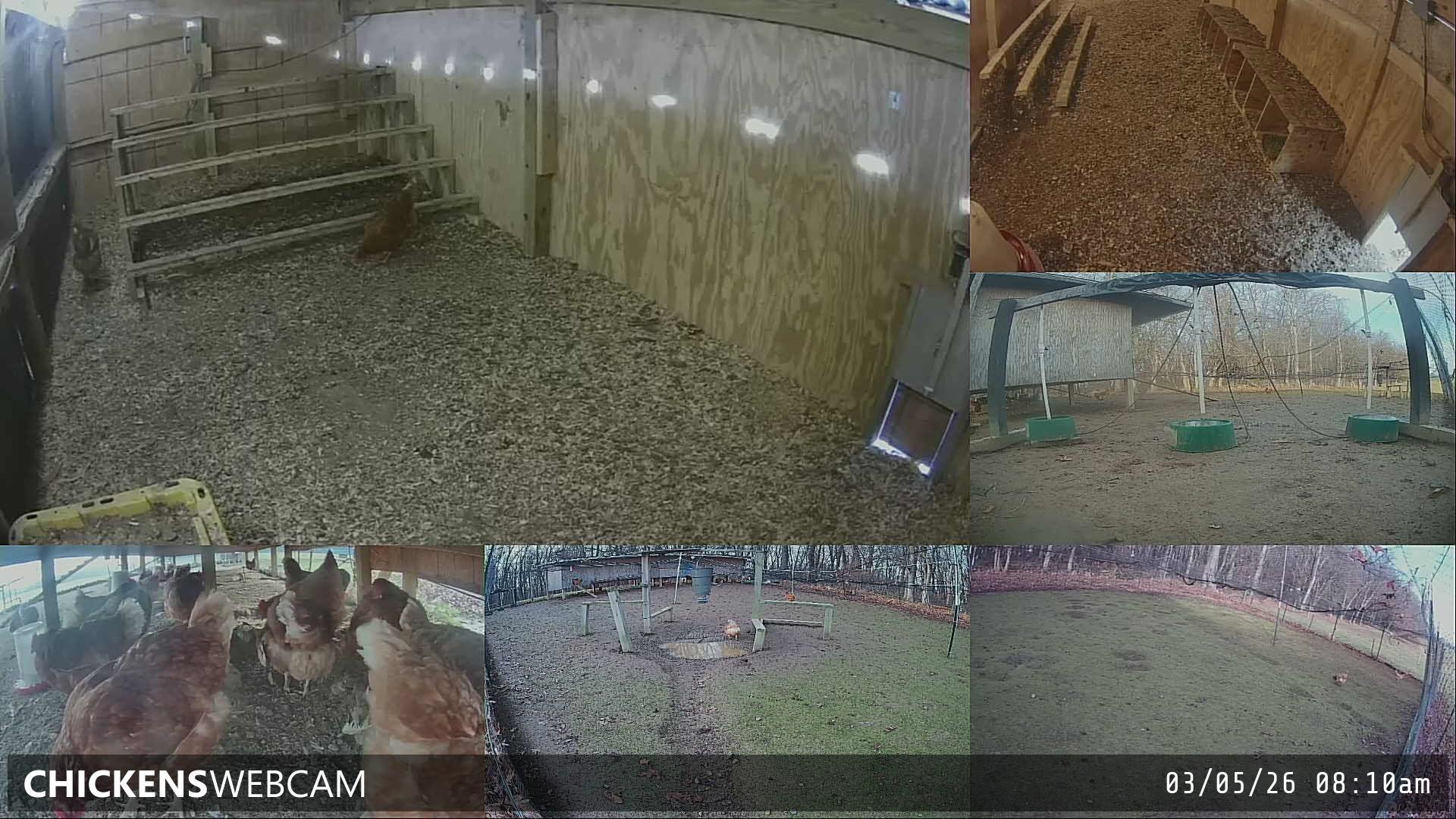 Twitch Stream Preview