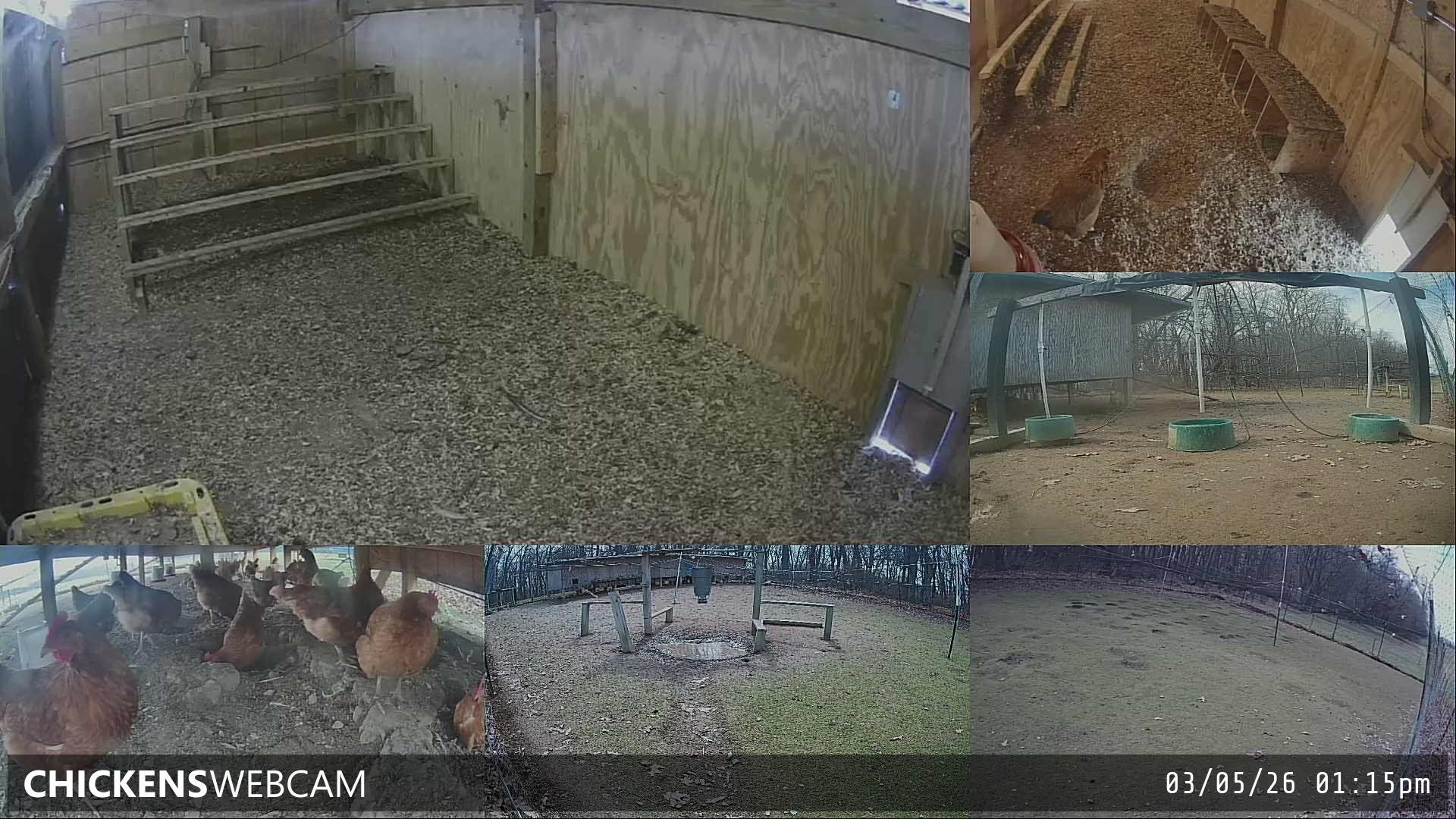 Twitch Stream Preview