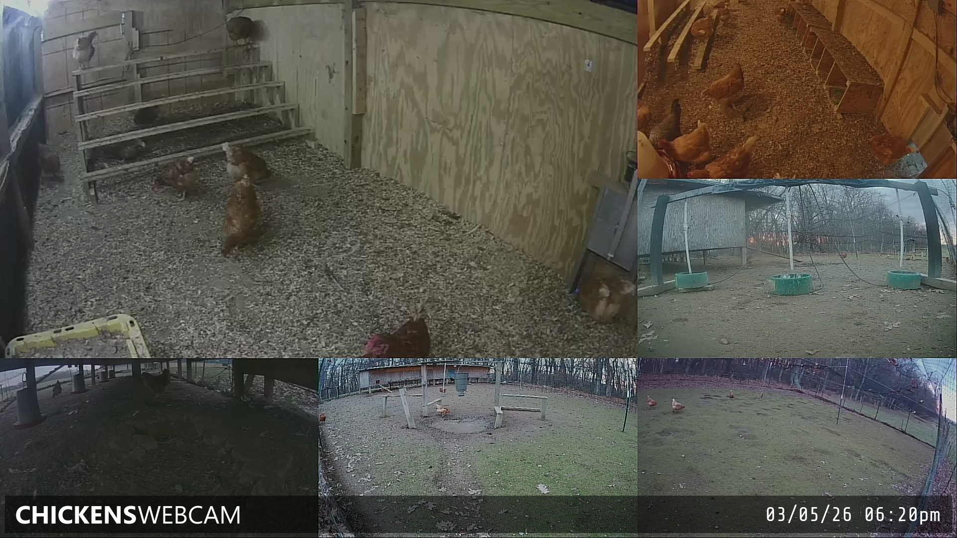 Twitch Stream Preview