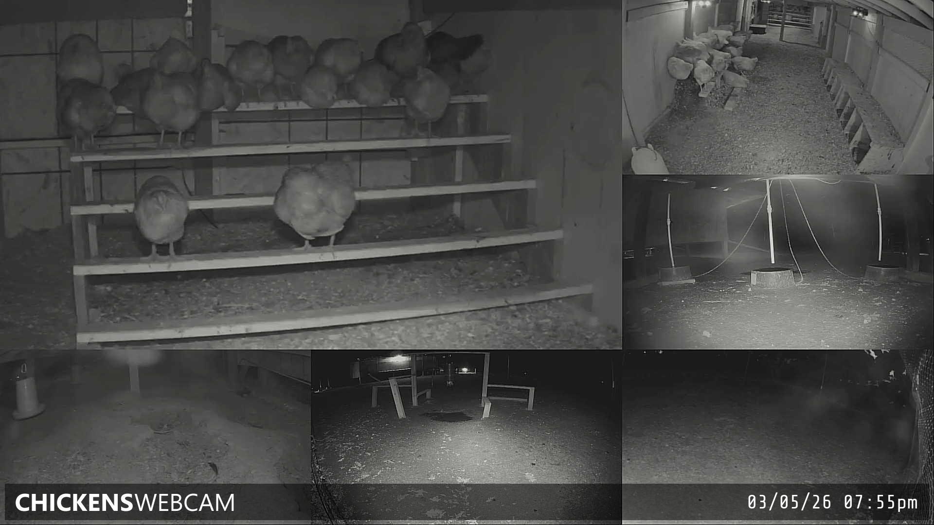 Twitch Stream Preview