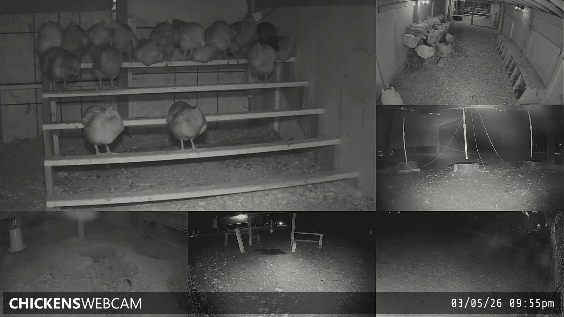 Twitch Stream Preview