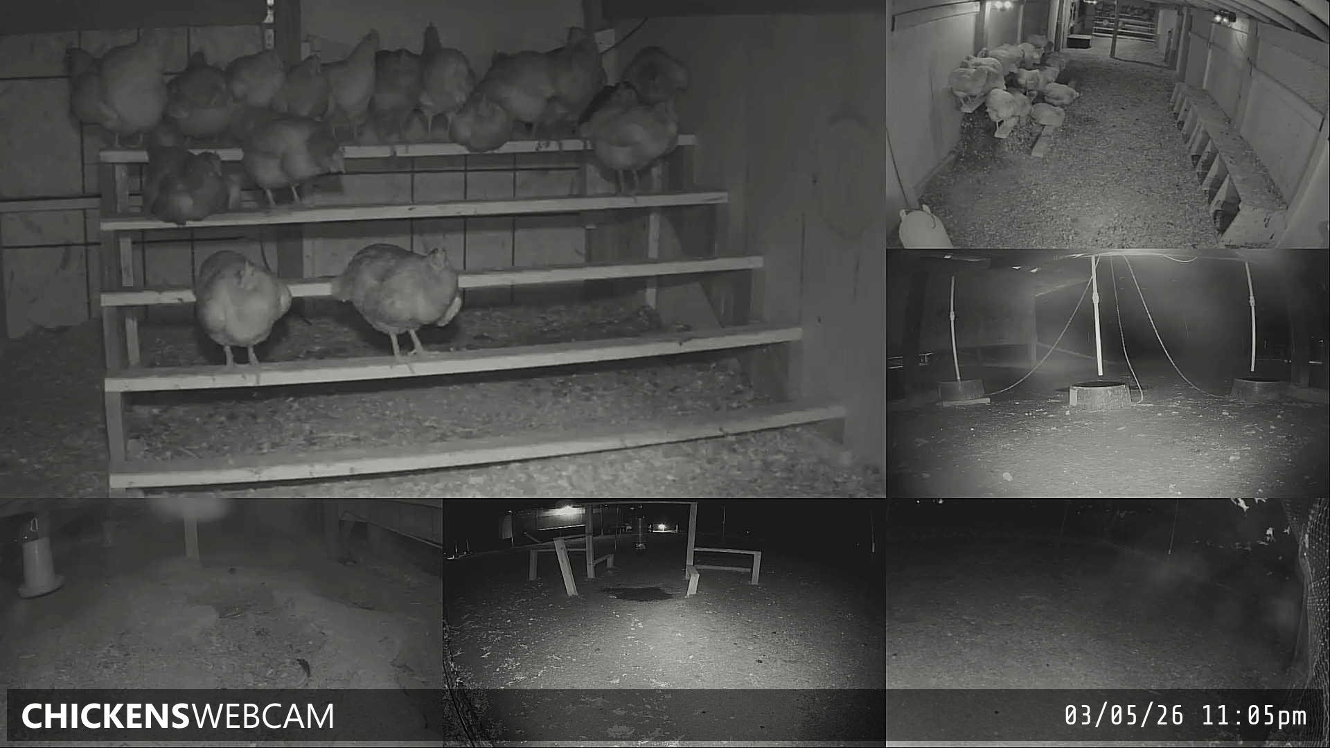 Twitch Stream Preview