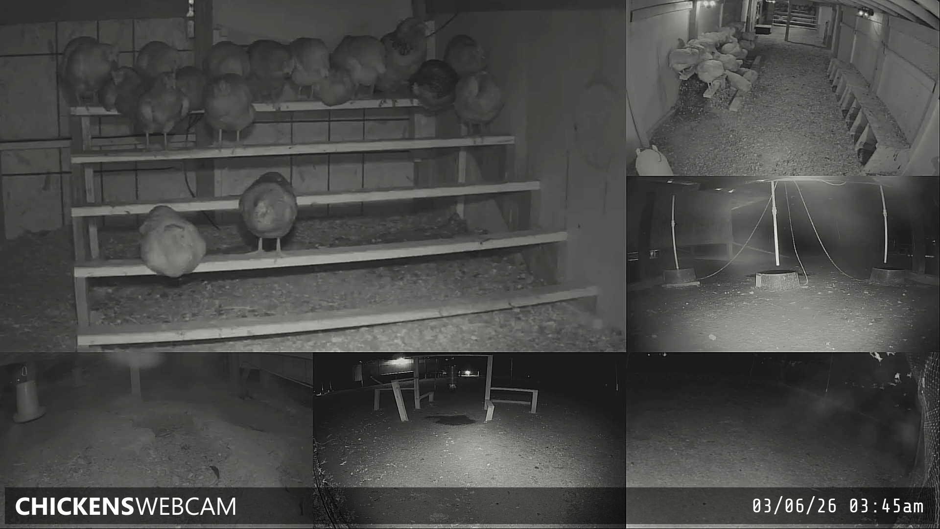 Twitch Stream Preview