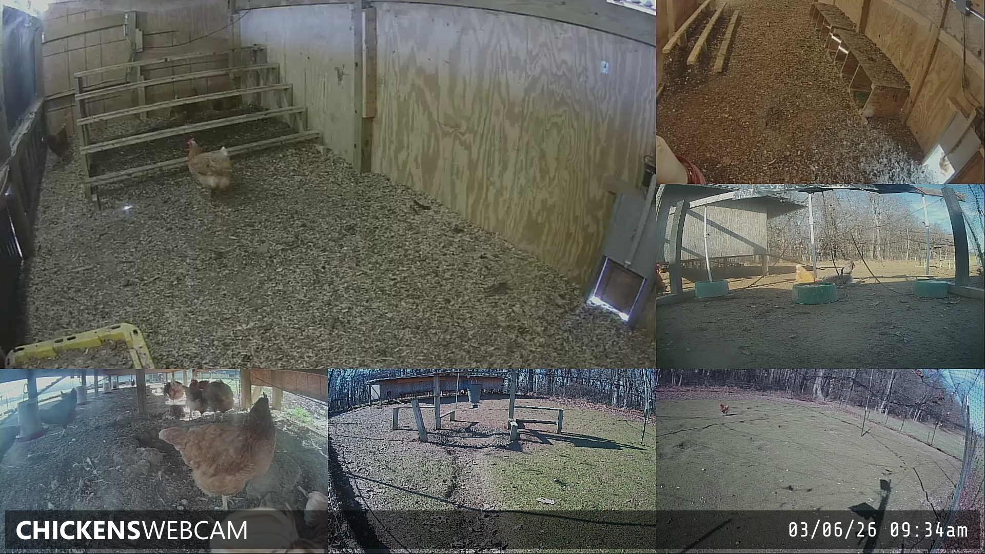 Twitch Stream Preview